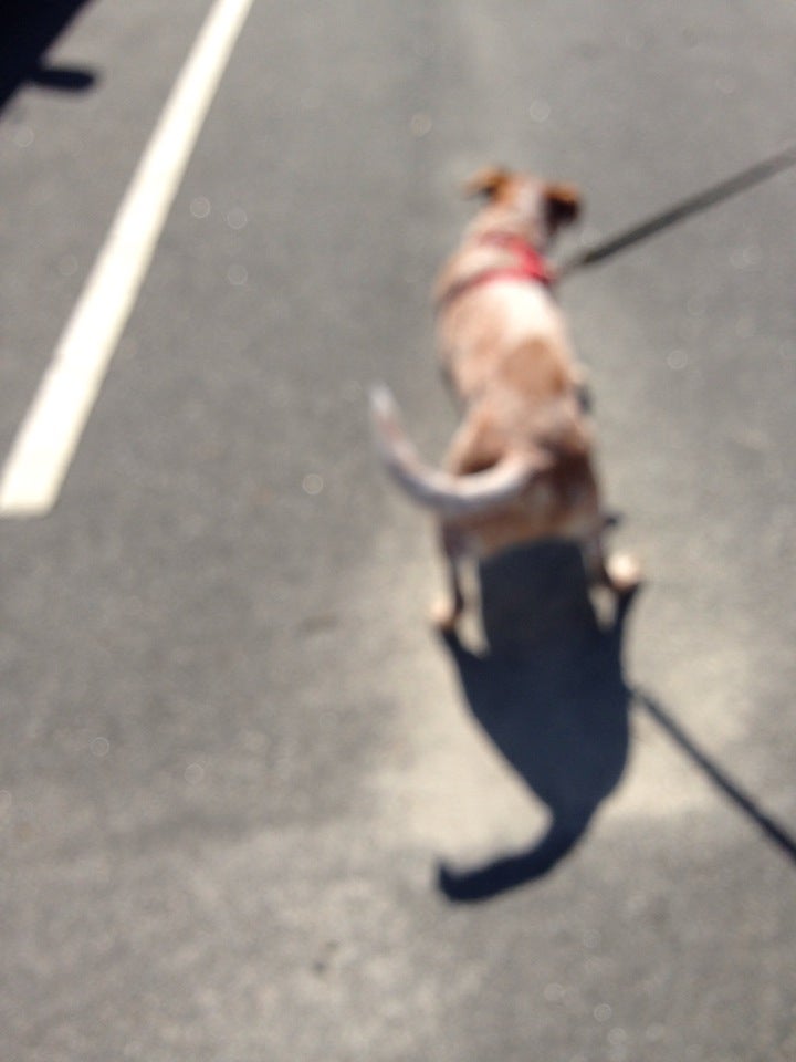 Freedom Dog Park, Valdosta, GA, Parks MapQuest