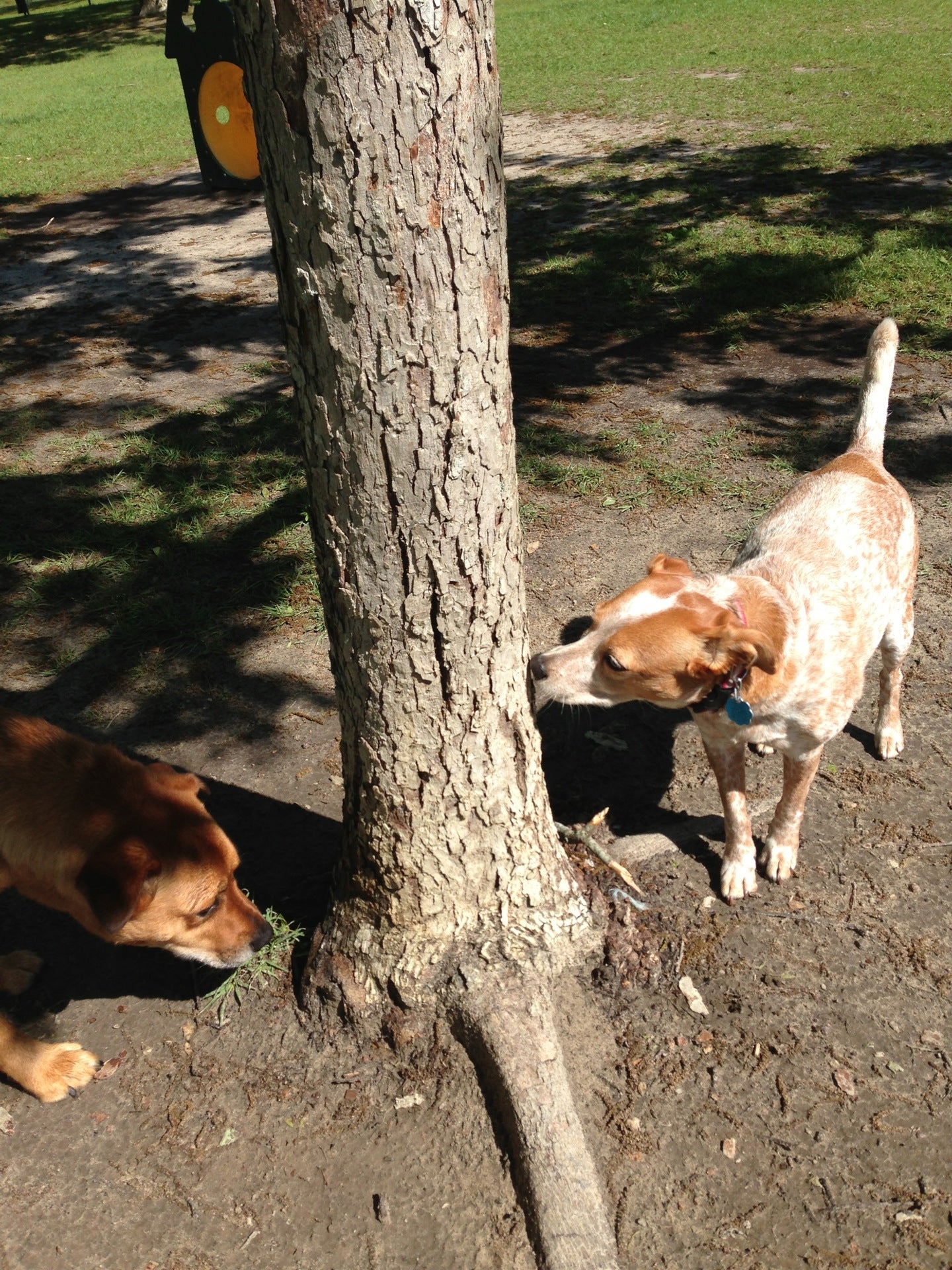 Freedom Dog Park, Valdosta, GA, Parks MapQuest