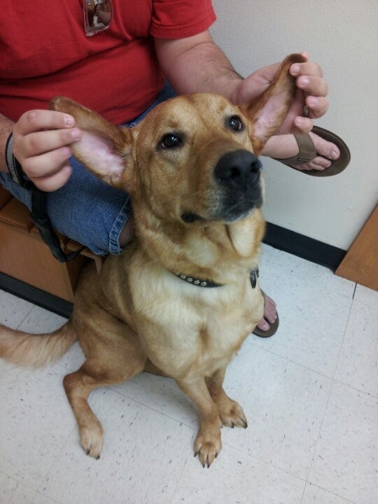 Banfield Pet Hospital, 10527 South Mall Dr, South Baton Rouge, LA