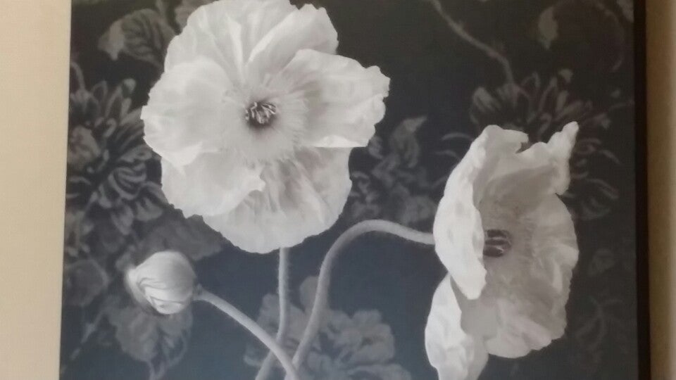 Florida Imaging, 195 S Westmonte Dr, Suite 1118, Altamonte Springs, FL, Doctors MapQuest