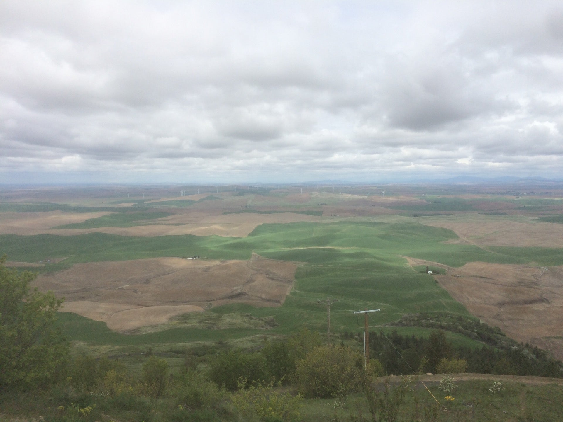 Steptoe Butte State Park, Milepost 72 Hume Road, Colfax, WA, Parks