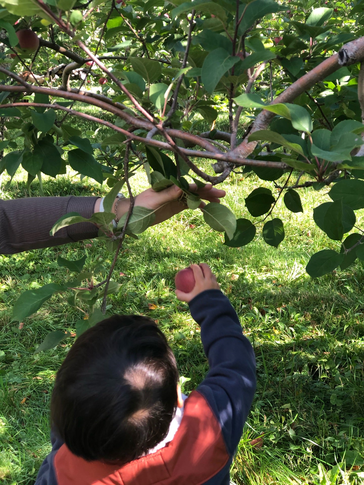 South Hero, VT Map & Directions MapQuest