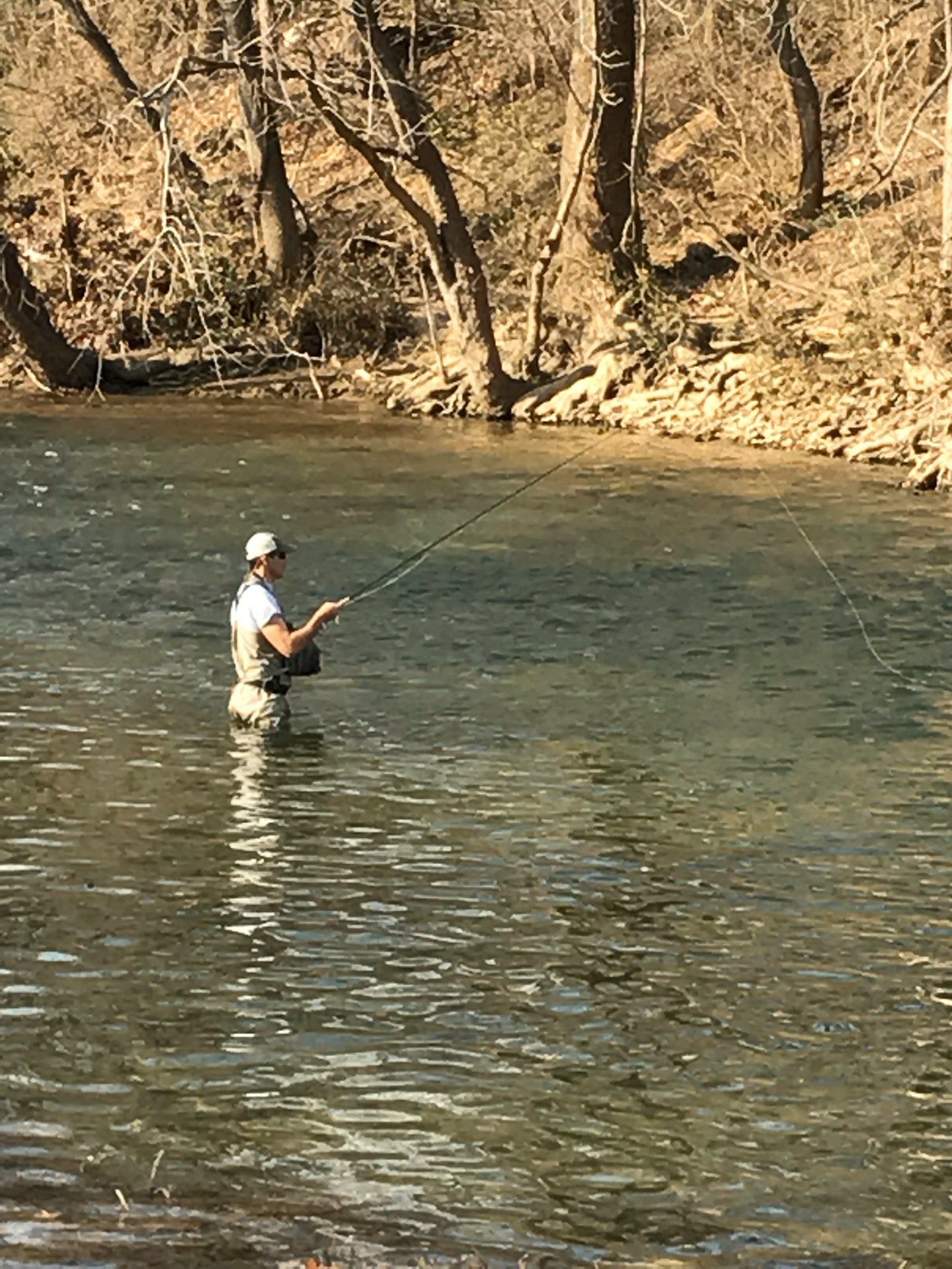 Salem Rotary Park, Electric Rd, Salem, VA MapQuest
