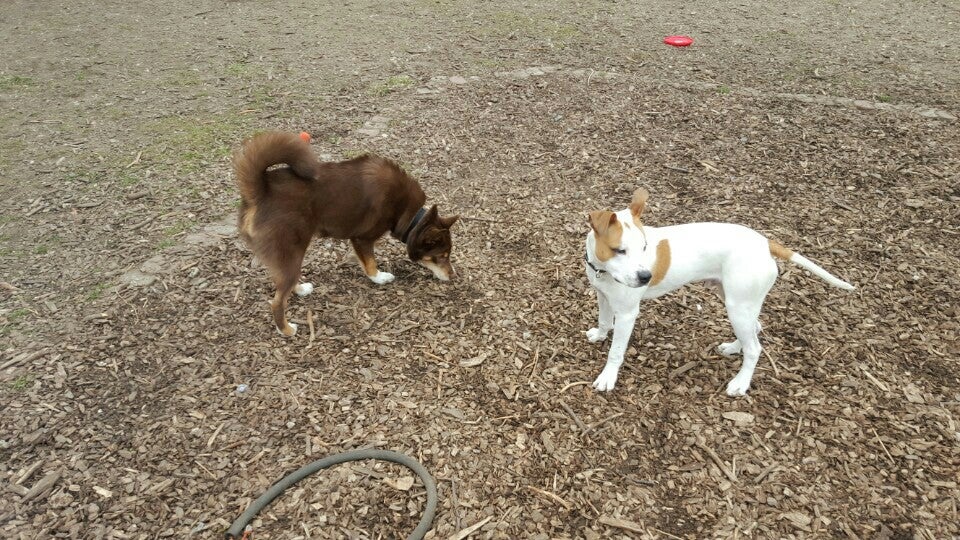 Freeport, MI Map & Directions MapQuest