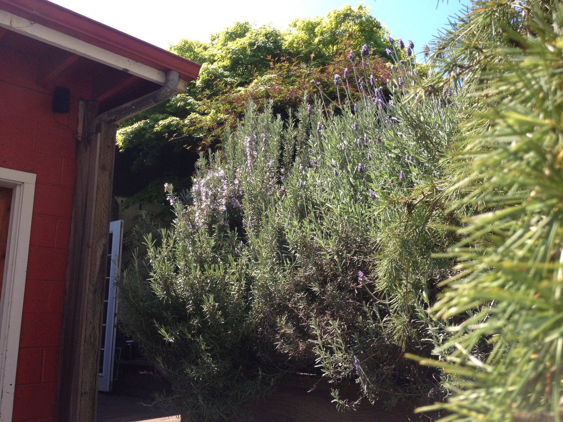 North Bend, OR Map & Directions MapQuest