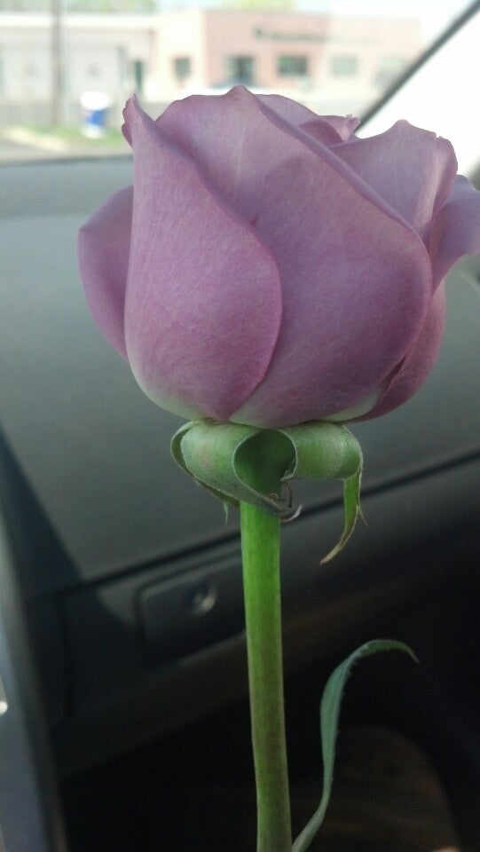 Royer S Flowers Harrisburg Pennsylvania Best Flower Site