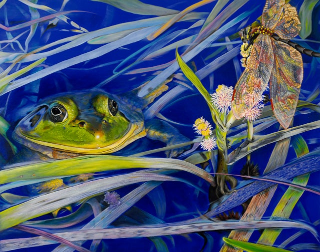 Abrams, WI Map & Directions MapQuest