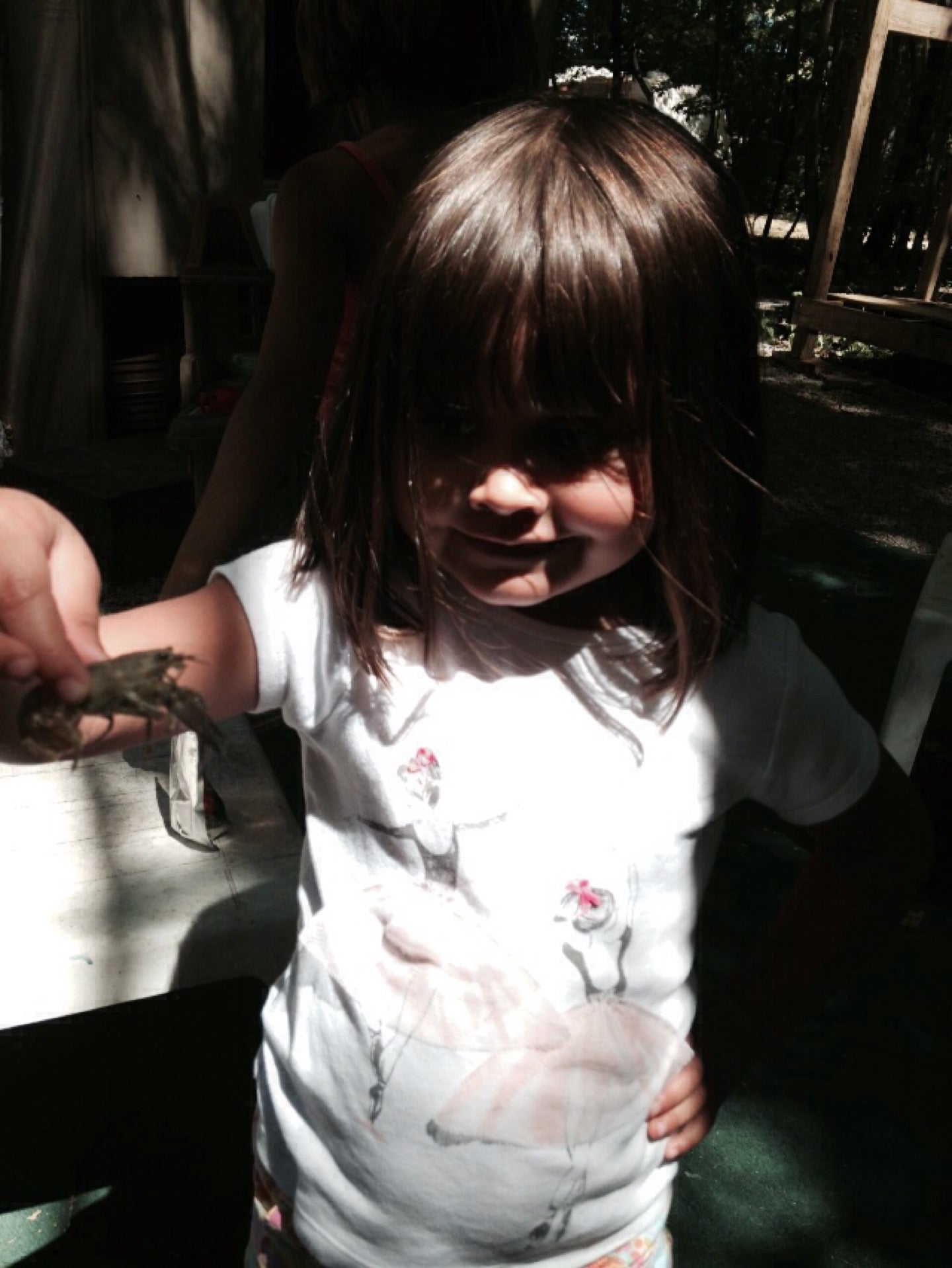 Maribel, WI Map & Directions MapQuest