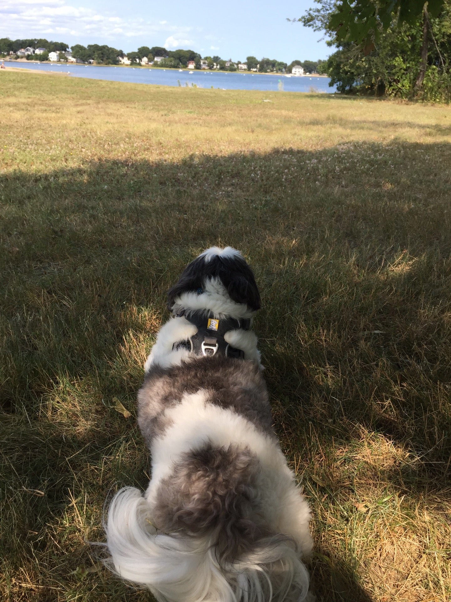 Mound, Mound St, Quincy, MA, Beach MapQuest