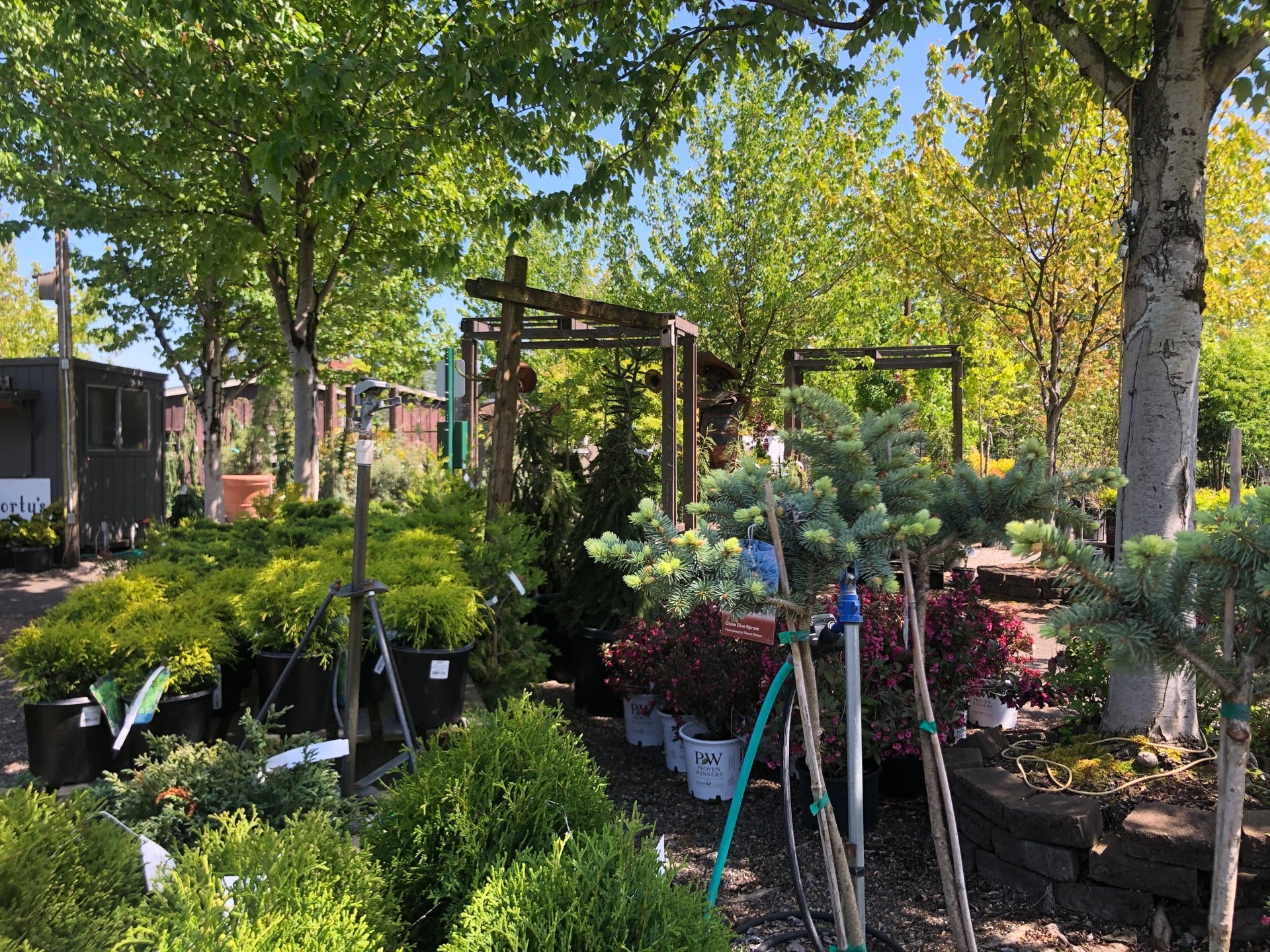 Shorty's Nursery, 10006 SE Mill Plain Blvd, Vancouver, WA, Garden