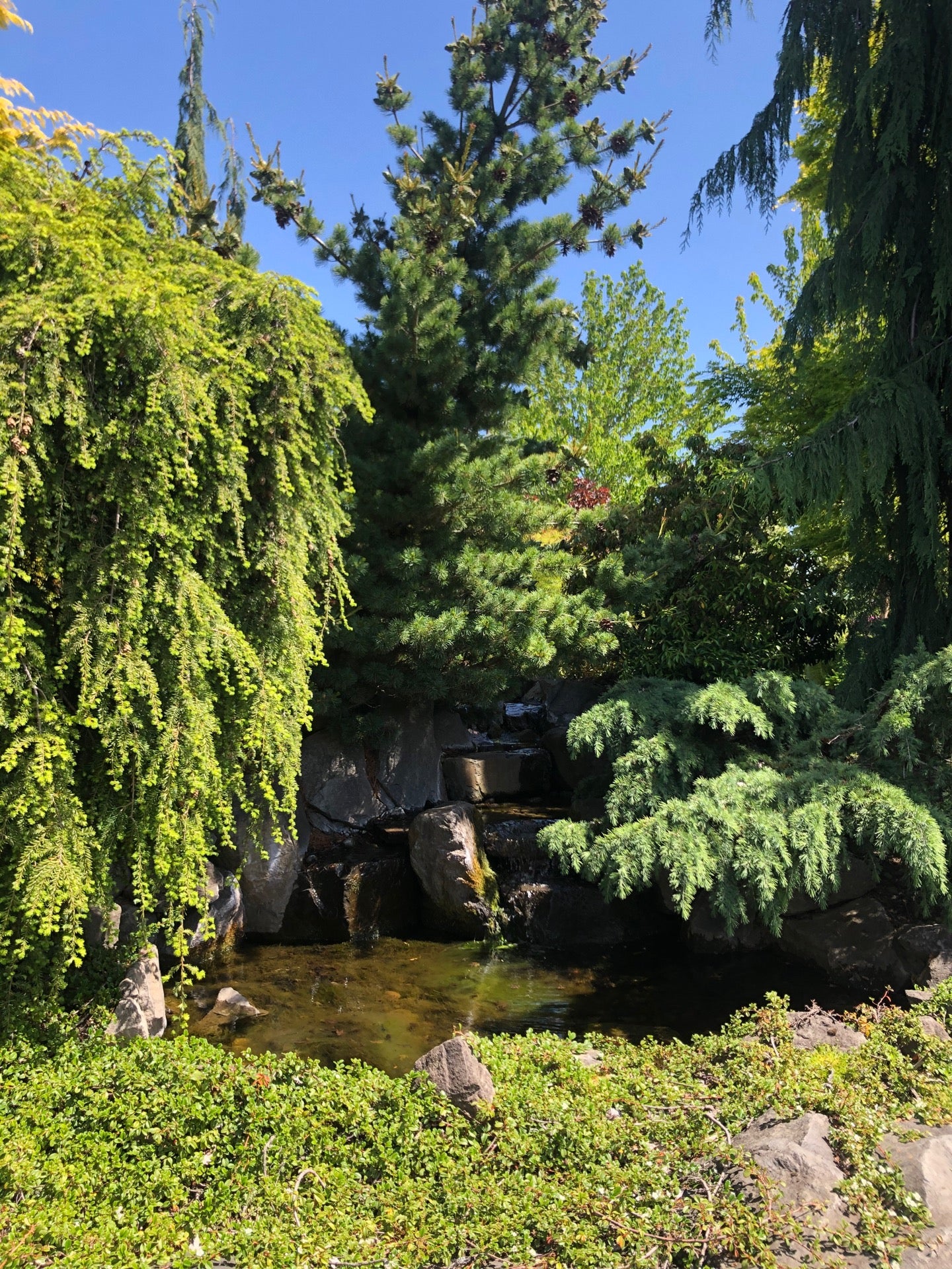 Shorty's Nursery, 10006 SE Mill Plain Blvd, Vancouver, WA, Garden