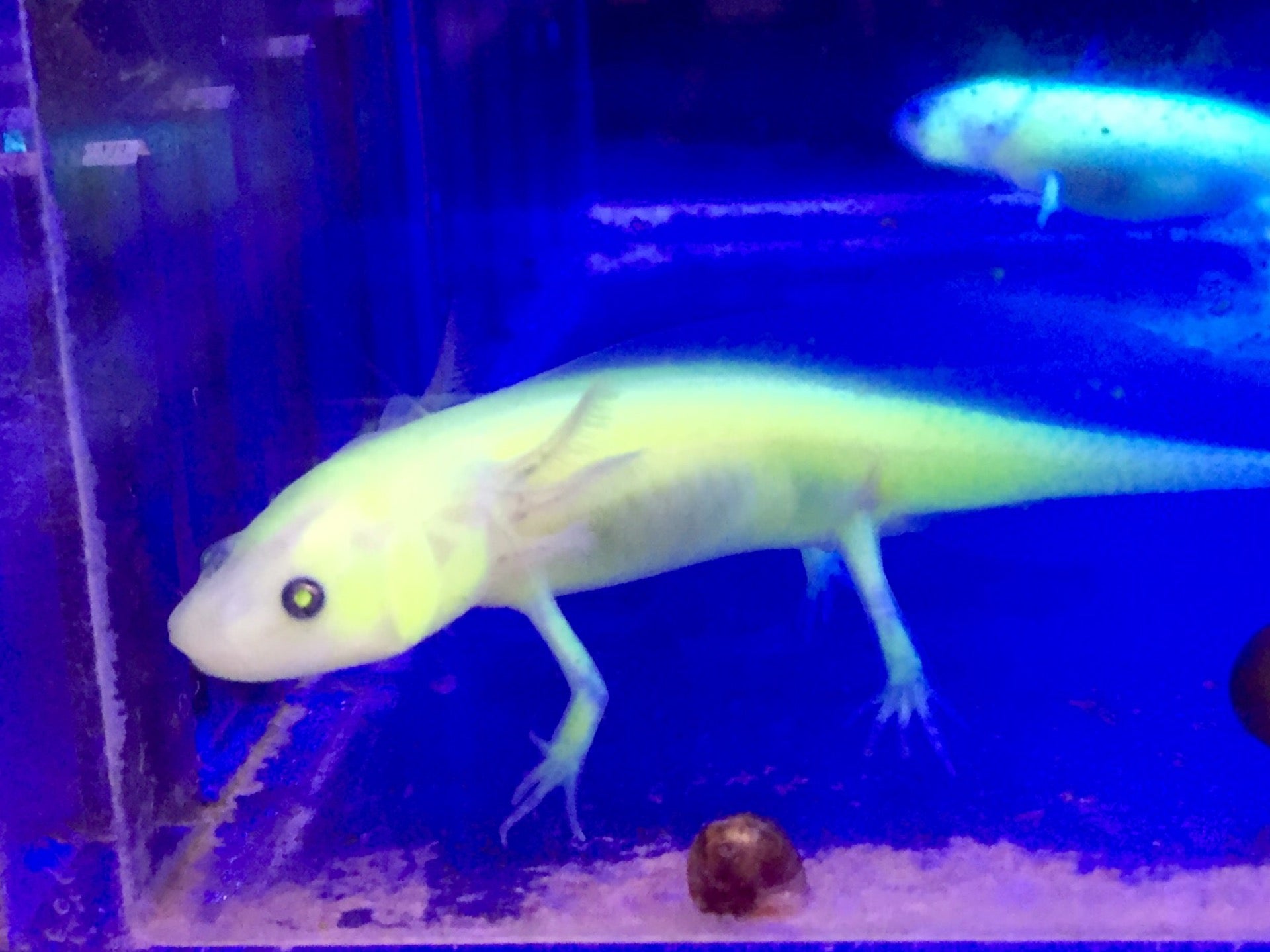 Best Pet Store in Pinehurst, Washington MapQuest