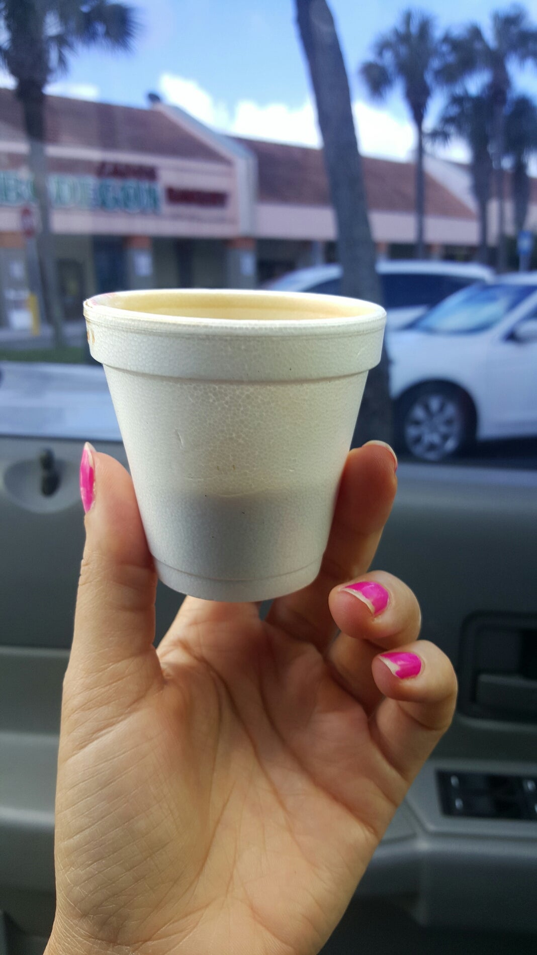 El Bodegon 6, 6356 Forest Hill Blvd, Greenacres, FL, Eating places