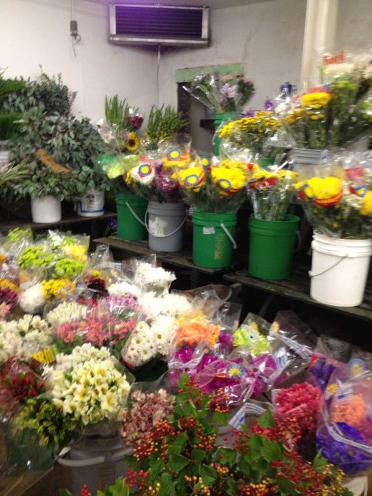 Travis Wholesale Florists, 240 W Josephine St, San Antonio, TX, Bridal