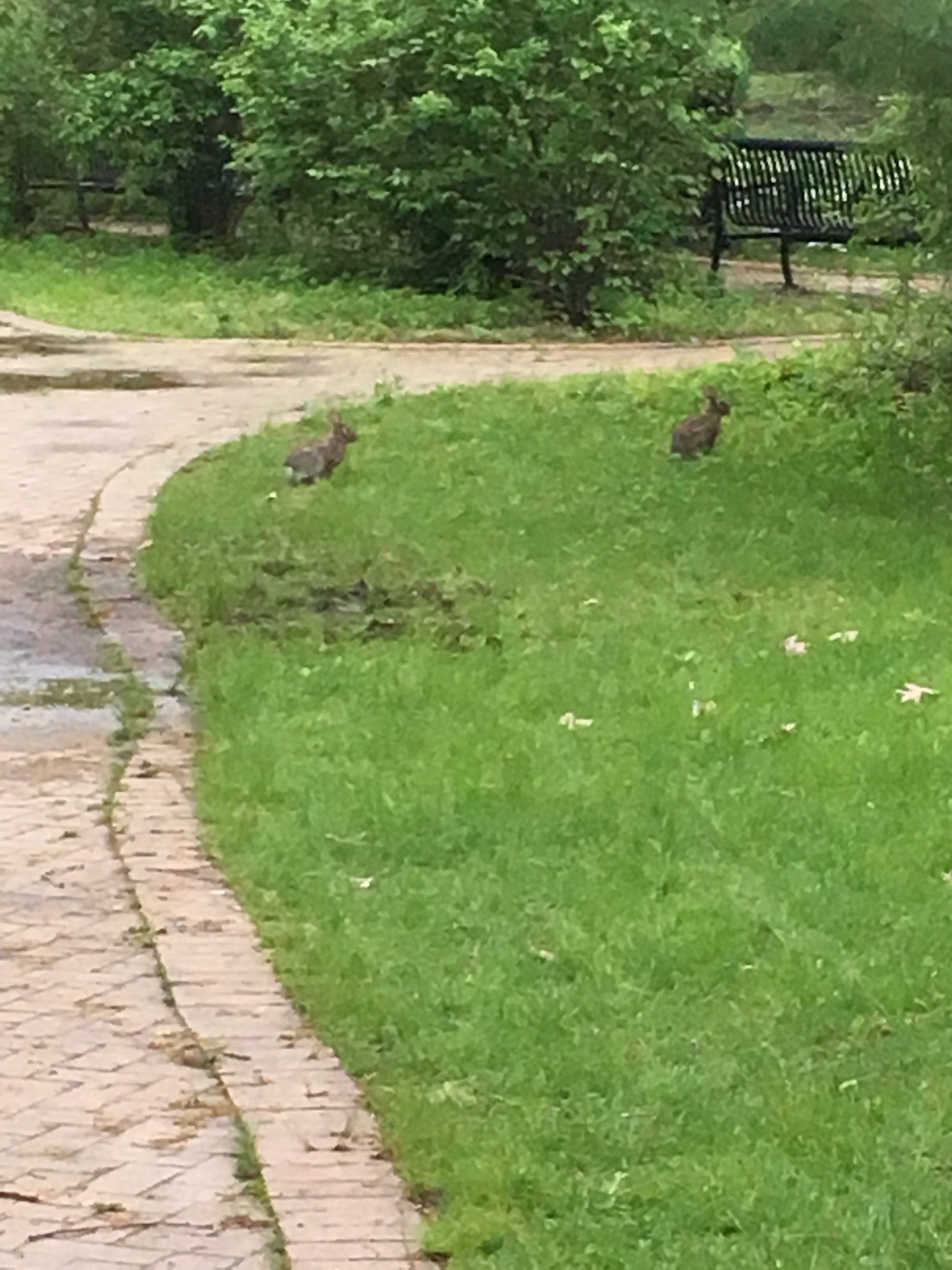 Lynbrook, NY Map & Directions MapQuest