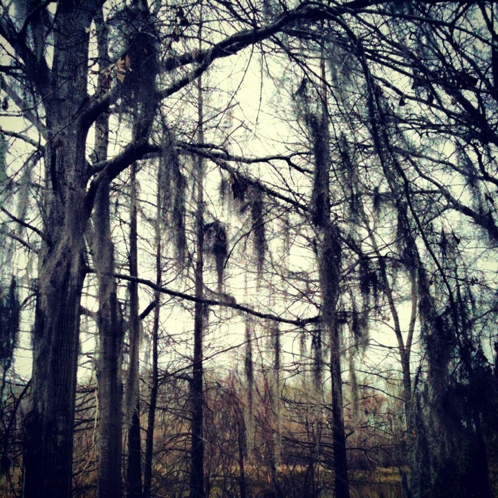 Camden, AL Map & Directions MapQuest