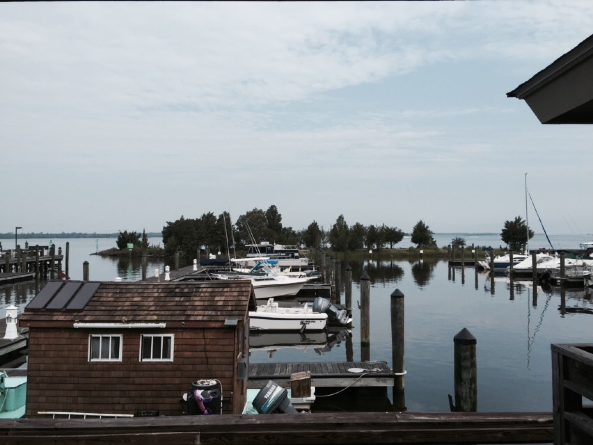 Carolina Beach State Park, 1010 State Park Rd, Carolina Beach, NC