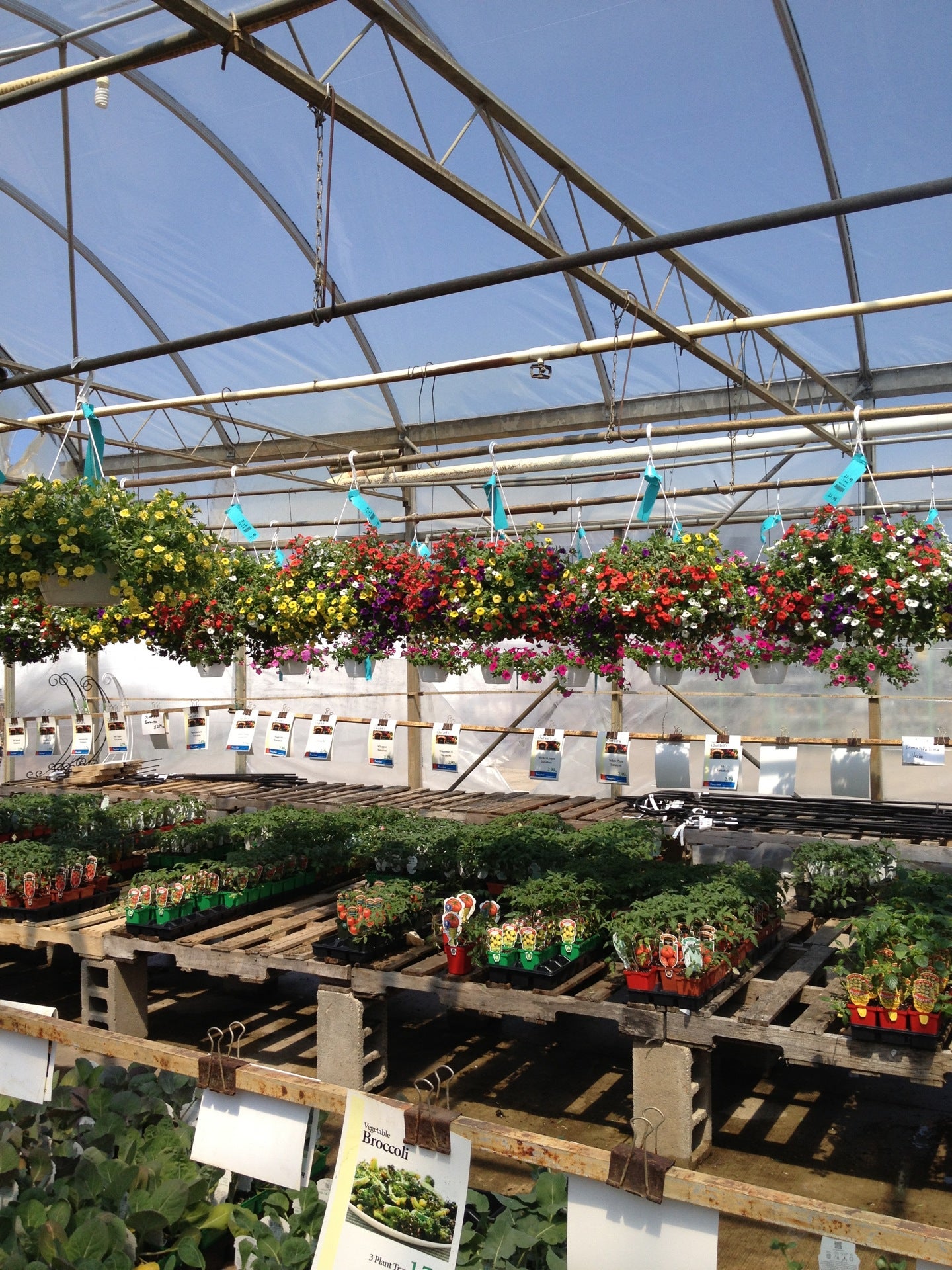 Flowerland, 3801 Alpine Ave NW, Alpine Twp, MI, Garden Centers MapQuest