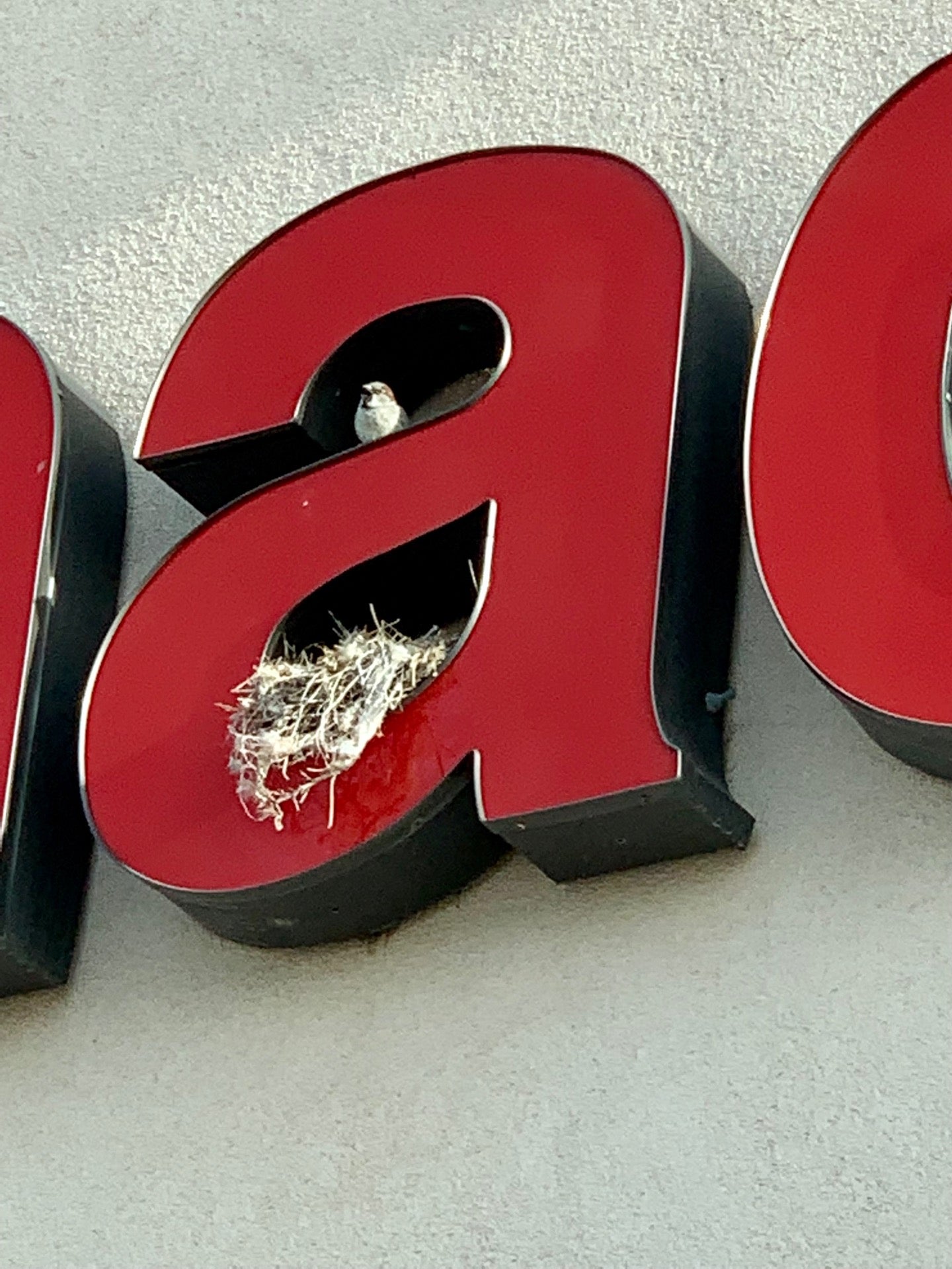 CVS Pharmacy, 1701 Galvin Rd S, Bellevue, NE, Pharmacies MapQuest