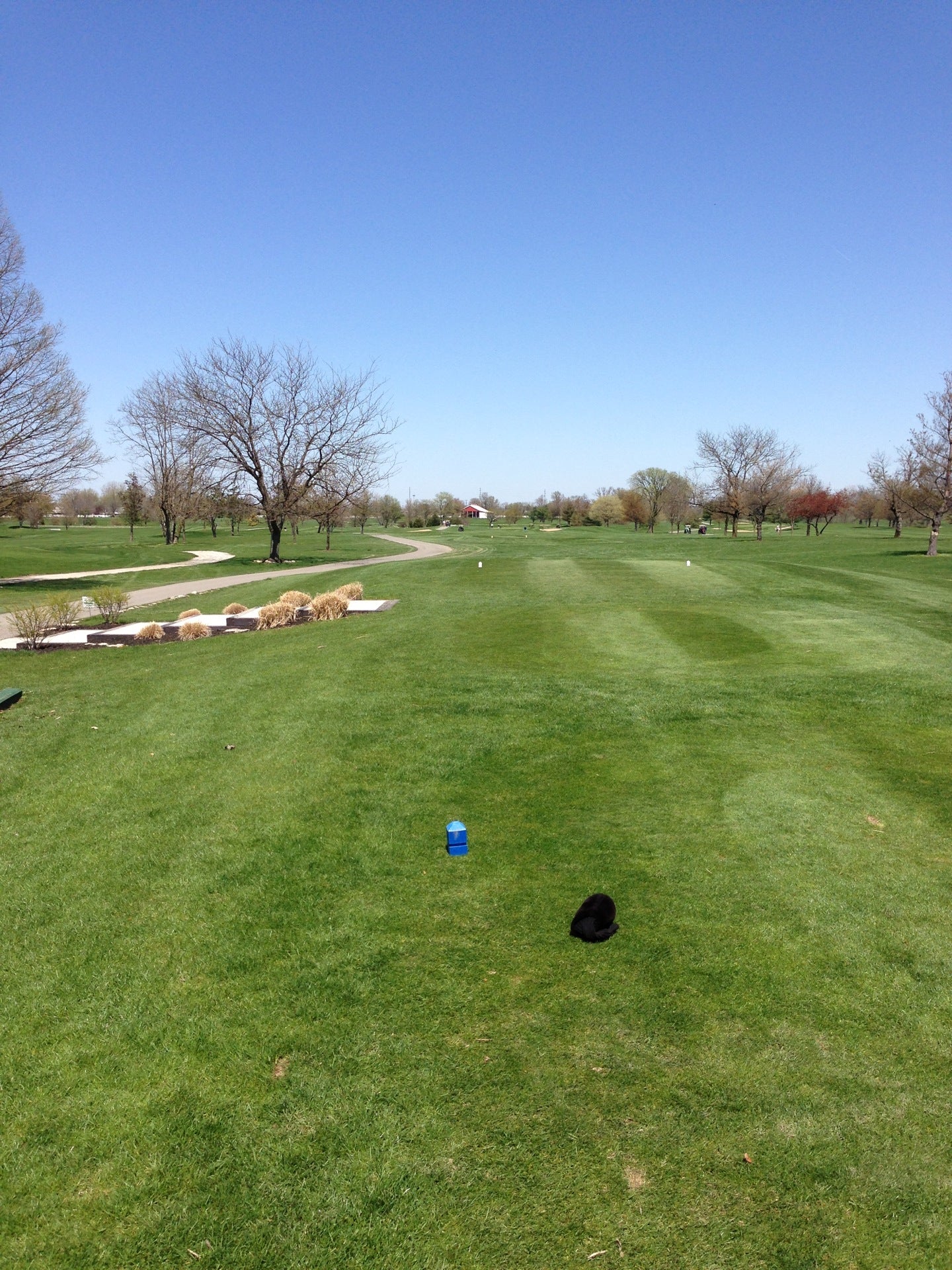 Smock Golf Course, 3910 E County Line Rd, Indianapolis, IN, Golf club