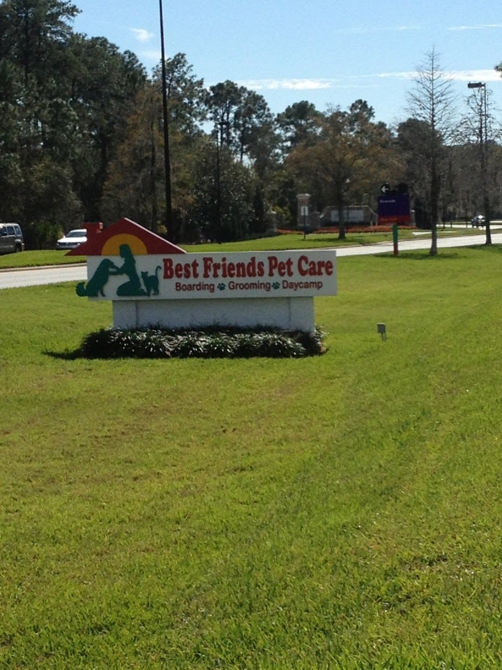 Doggy Cay Camp - Best Friends Pet Care - Lake Buena Vista, FL