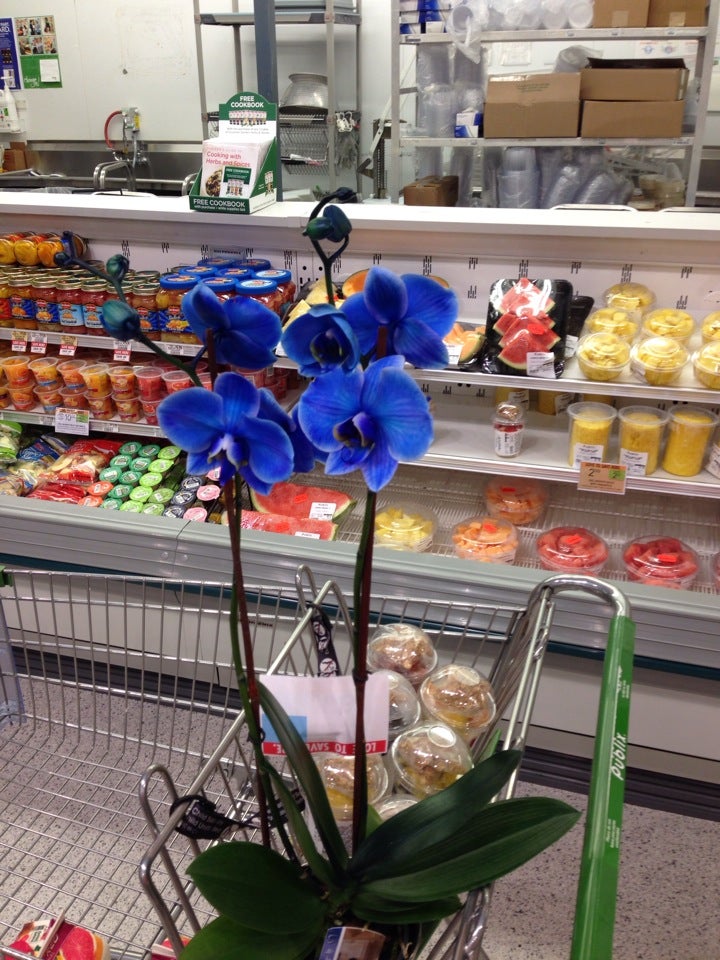 Publix Super Market at Ocean Park Pavilion, 23026 Panama City Beach