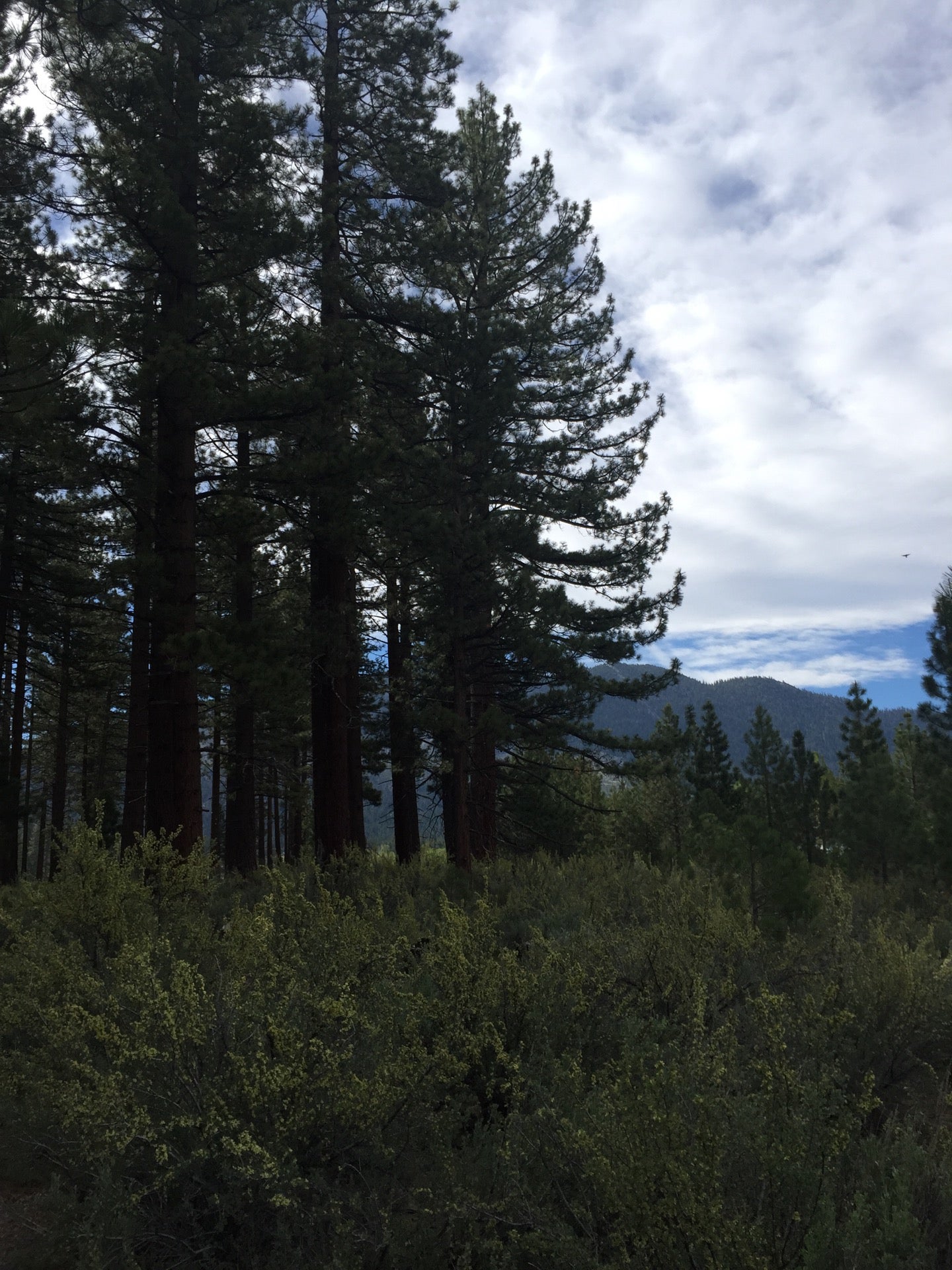 Nevada Beach Campground, Zephyr Cove, NV, Campgrounds MapQuest