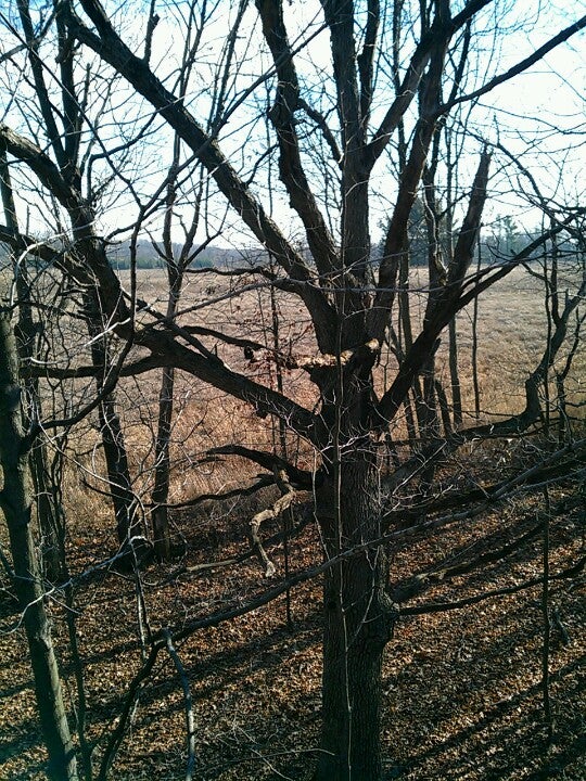 Loew Lake Unit, Kettle Moraine State Forest, 1032 Emerald Dr, Hartford