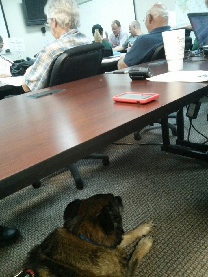 Jackson County Tag Office, 67 Athens St, Jefferson, GA, Department Of