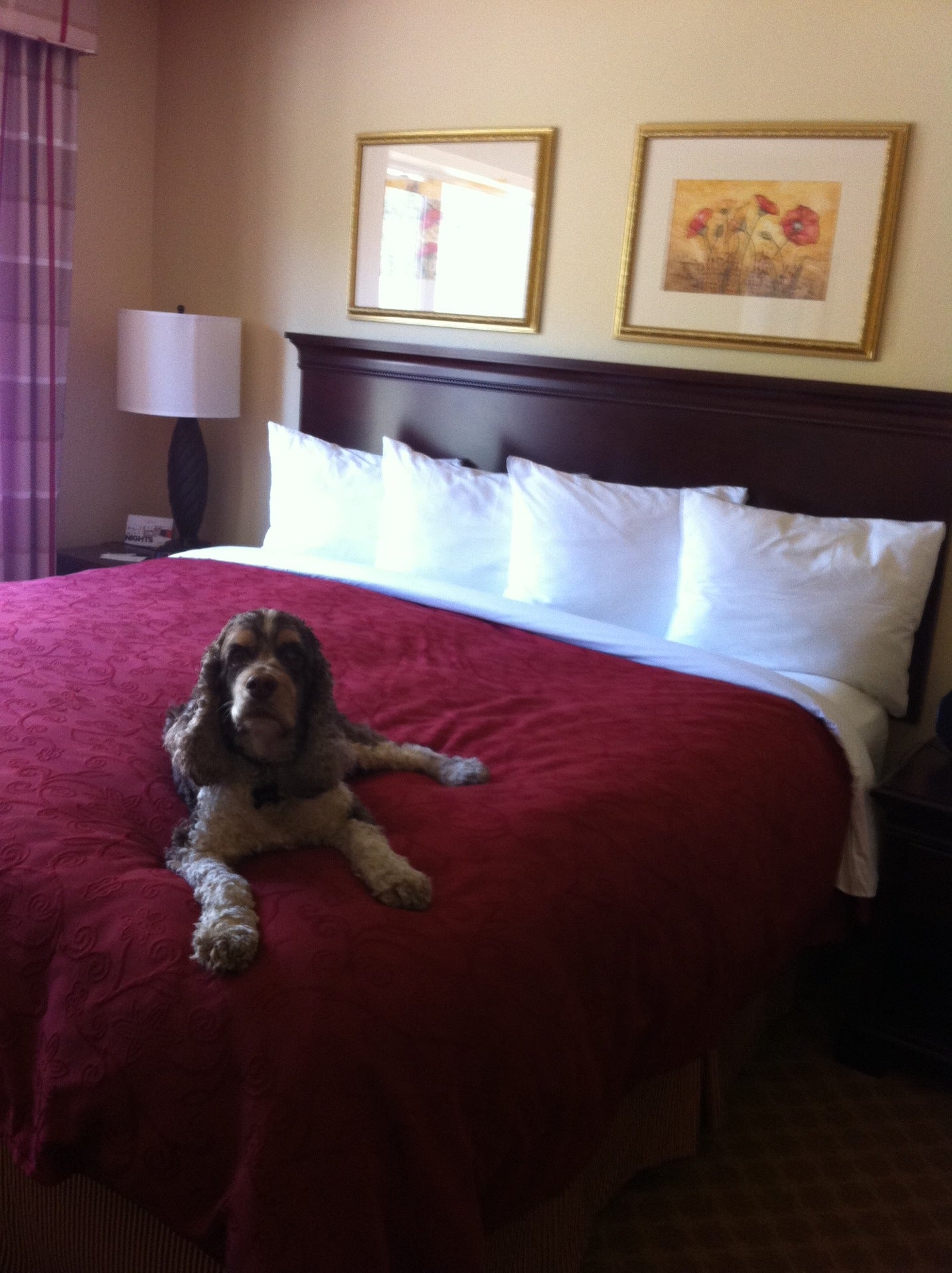 Norway, MI Map & Directions MapQuest