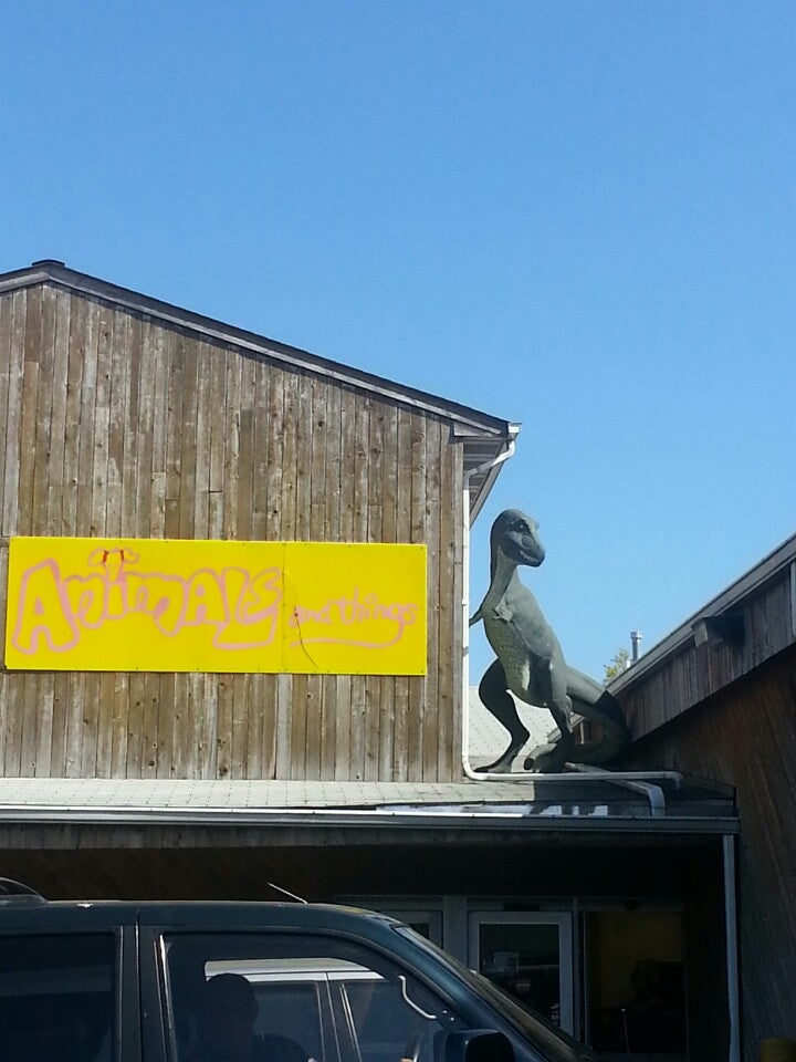 Animals & Things, 1040 US Highway 1 N, Woodbridge, NJ, Pet Grooming