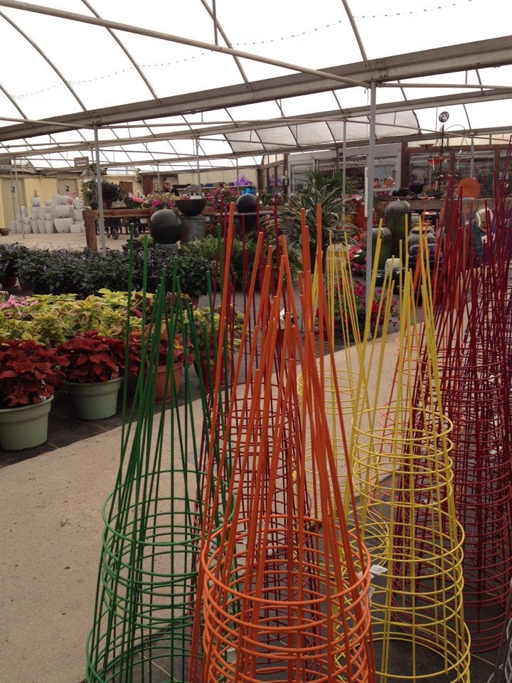 TLC Nursery Greenhouses 105 W Memorial Rd Oklahoma City OK tlc-nursery-greenhouses-105-w-memorial-rd-oklahoma-city-ok