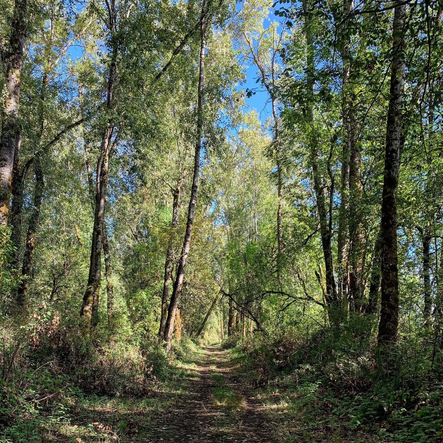 Sauvie Island Wildlife Area, 18330 NW Sauvie Island Rd, Portland, OR