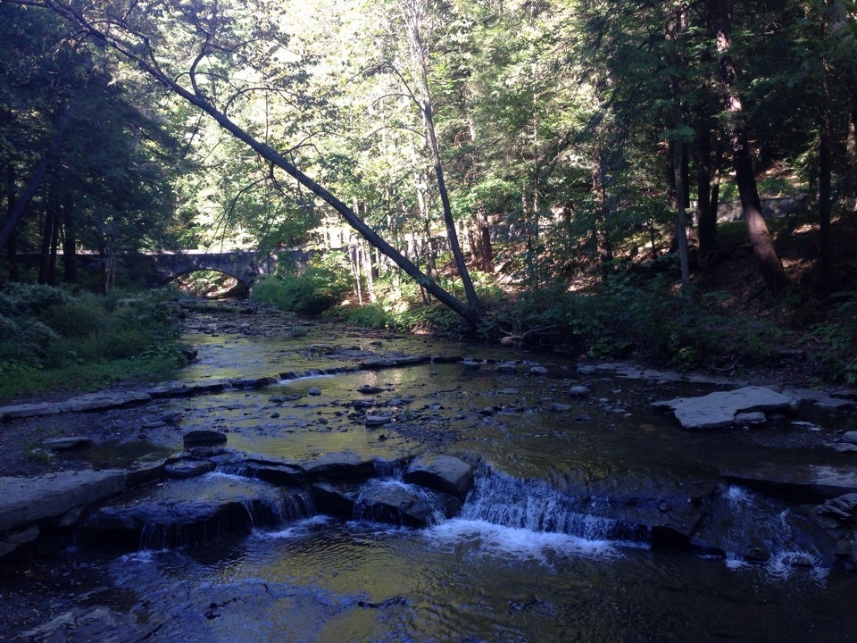 Wolf Creek Parking Lot, Park Rd, Castile, Town of, NY, Sports MapQuest