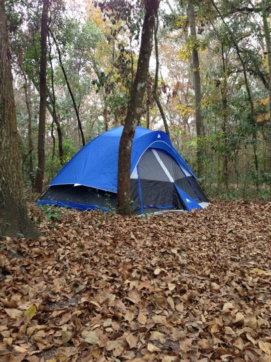 Ginnie Springs Outdoors Campground Site 79, 5000 NE 60th Ave, High