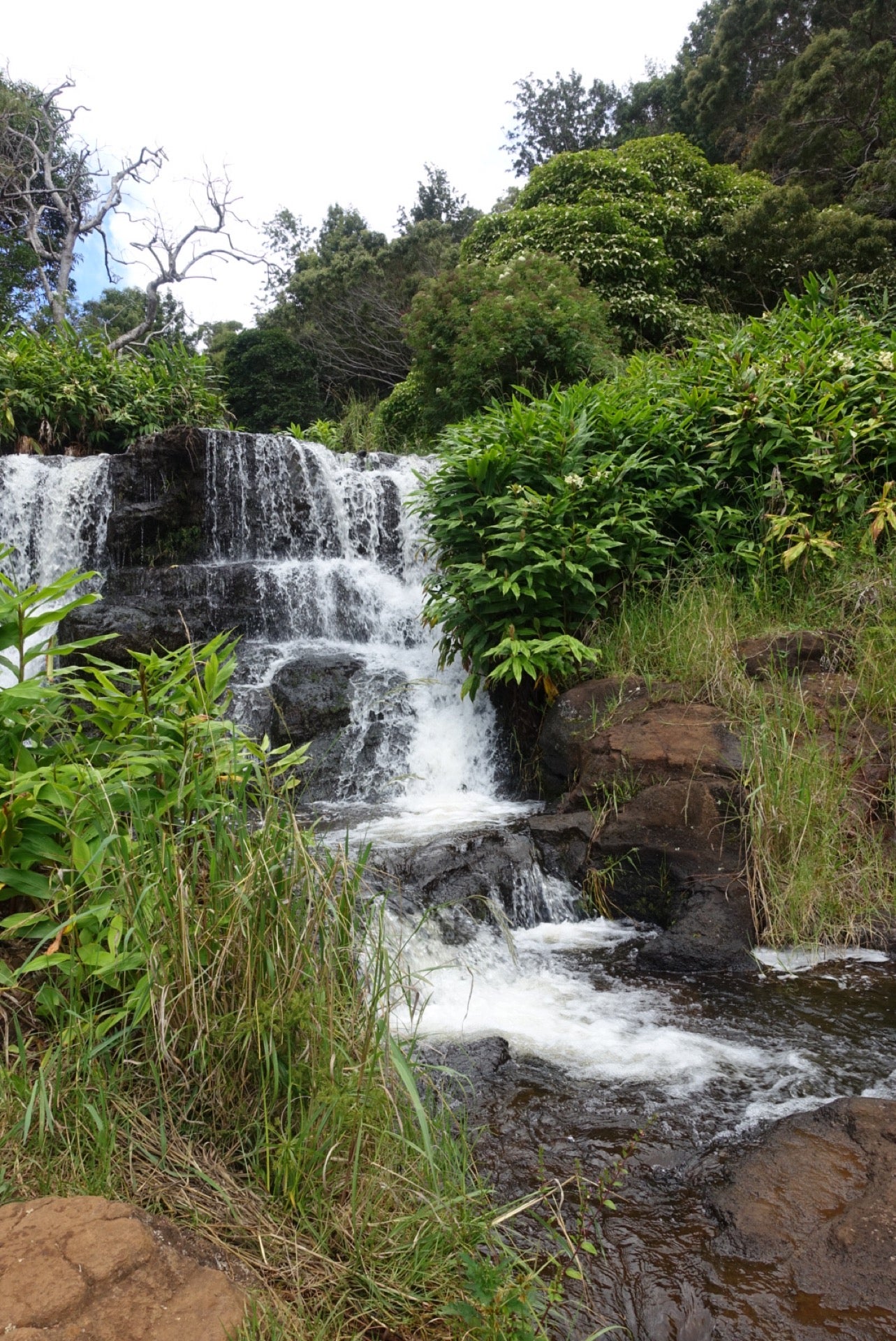 Waimea Canyon Trail To Waipo’o Falls, Koloa, HI - MapQuest 