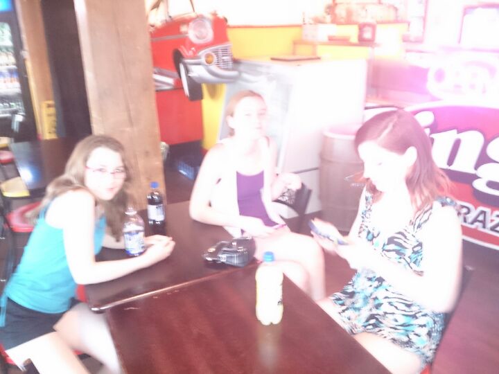 Dingo's Wild and Crazy Dogs