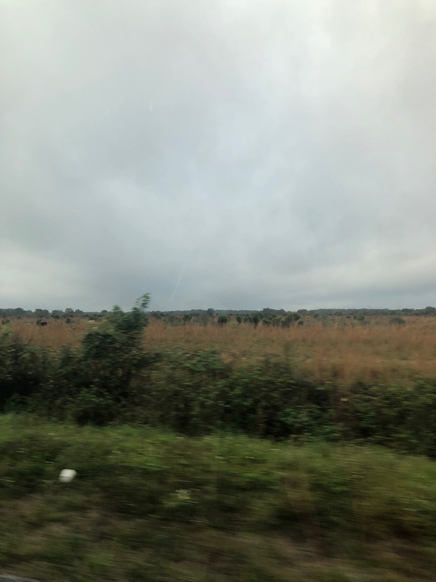 Kissimee River Florida, Kenansville, FL, Landmark MapQuest