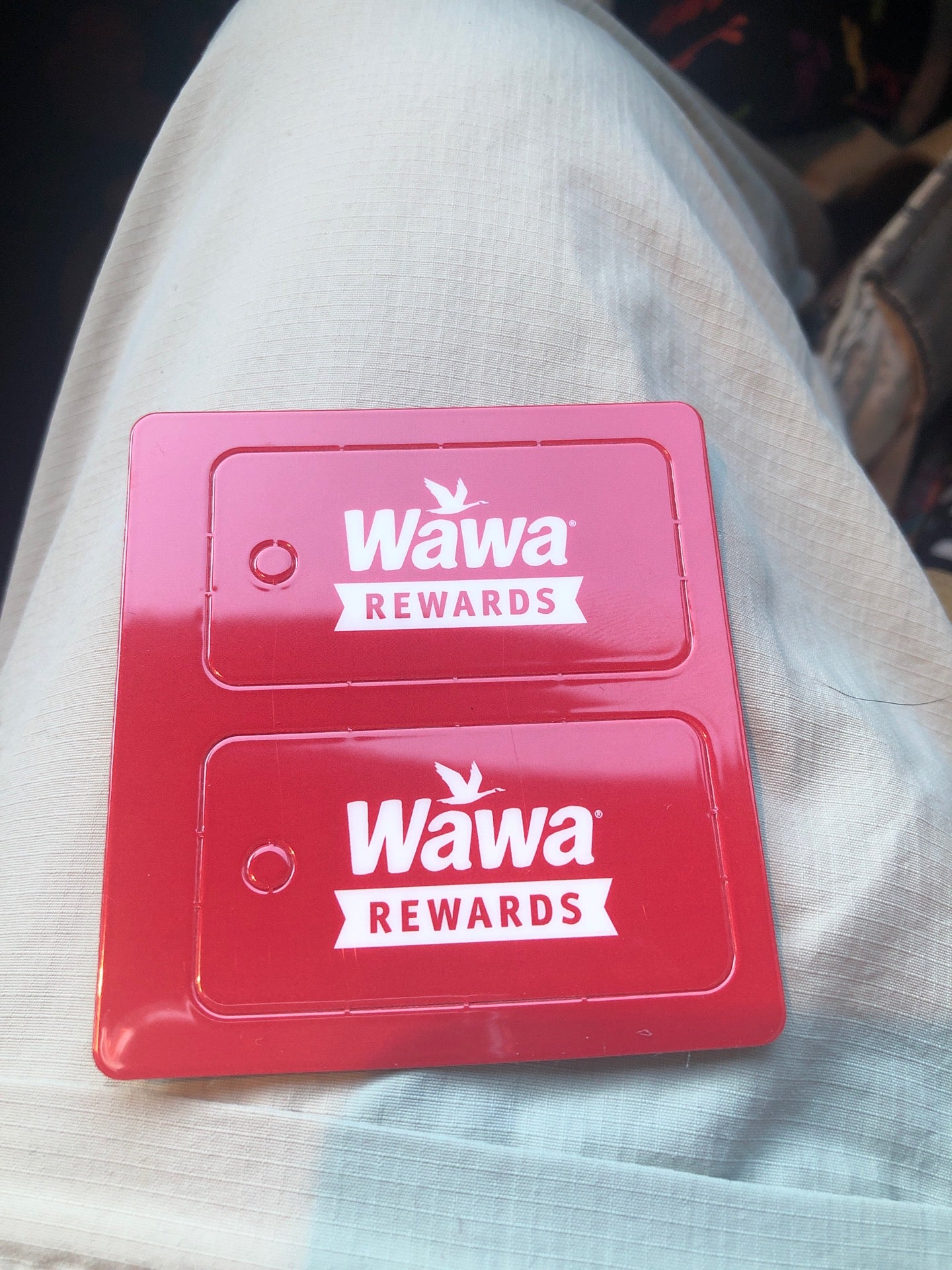 Wawa Gift Card $10.00