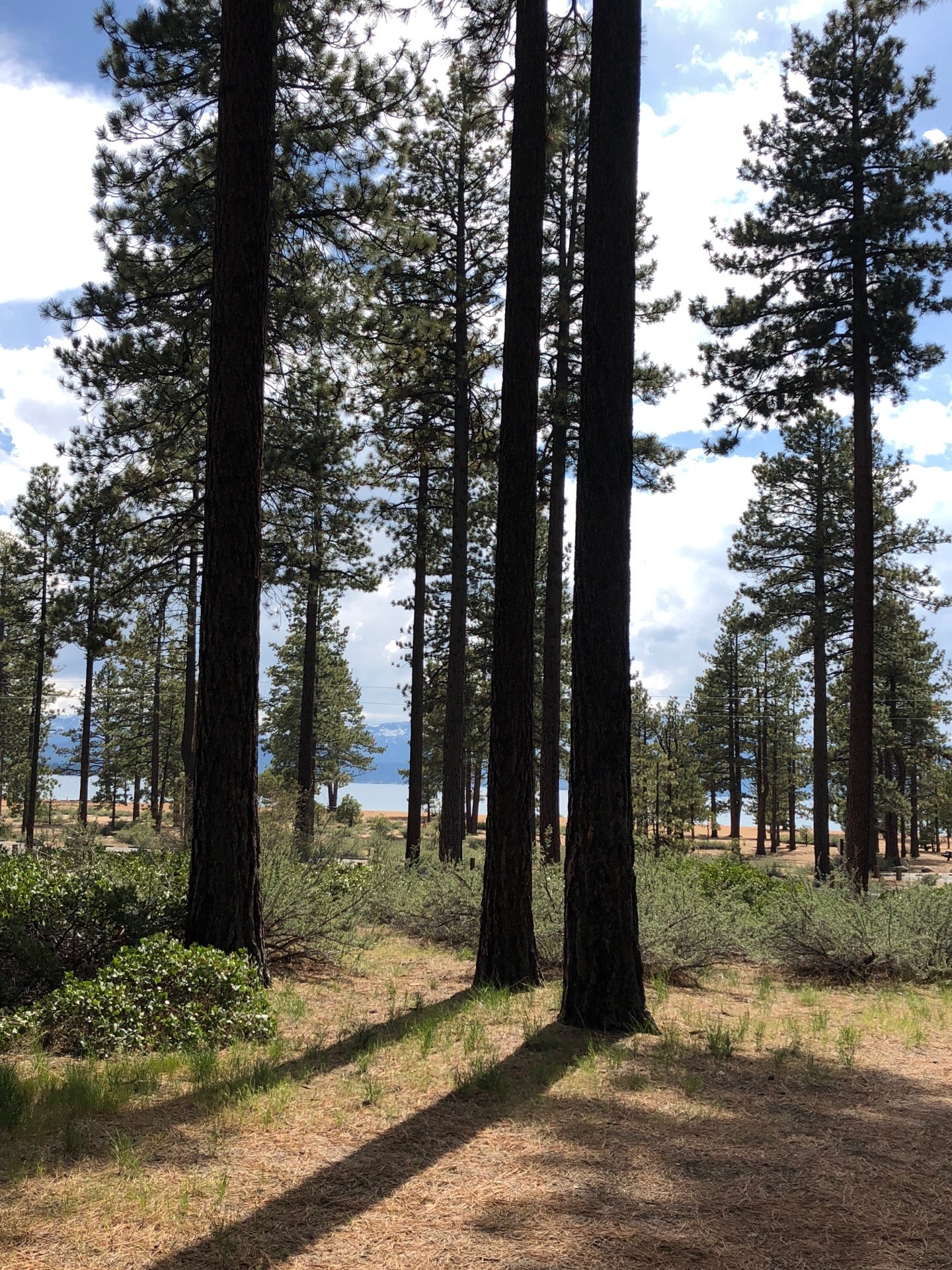 Nevada Beach Campground, Zephyr Cove, NV, Campgrounds MapQuest