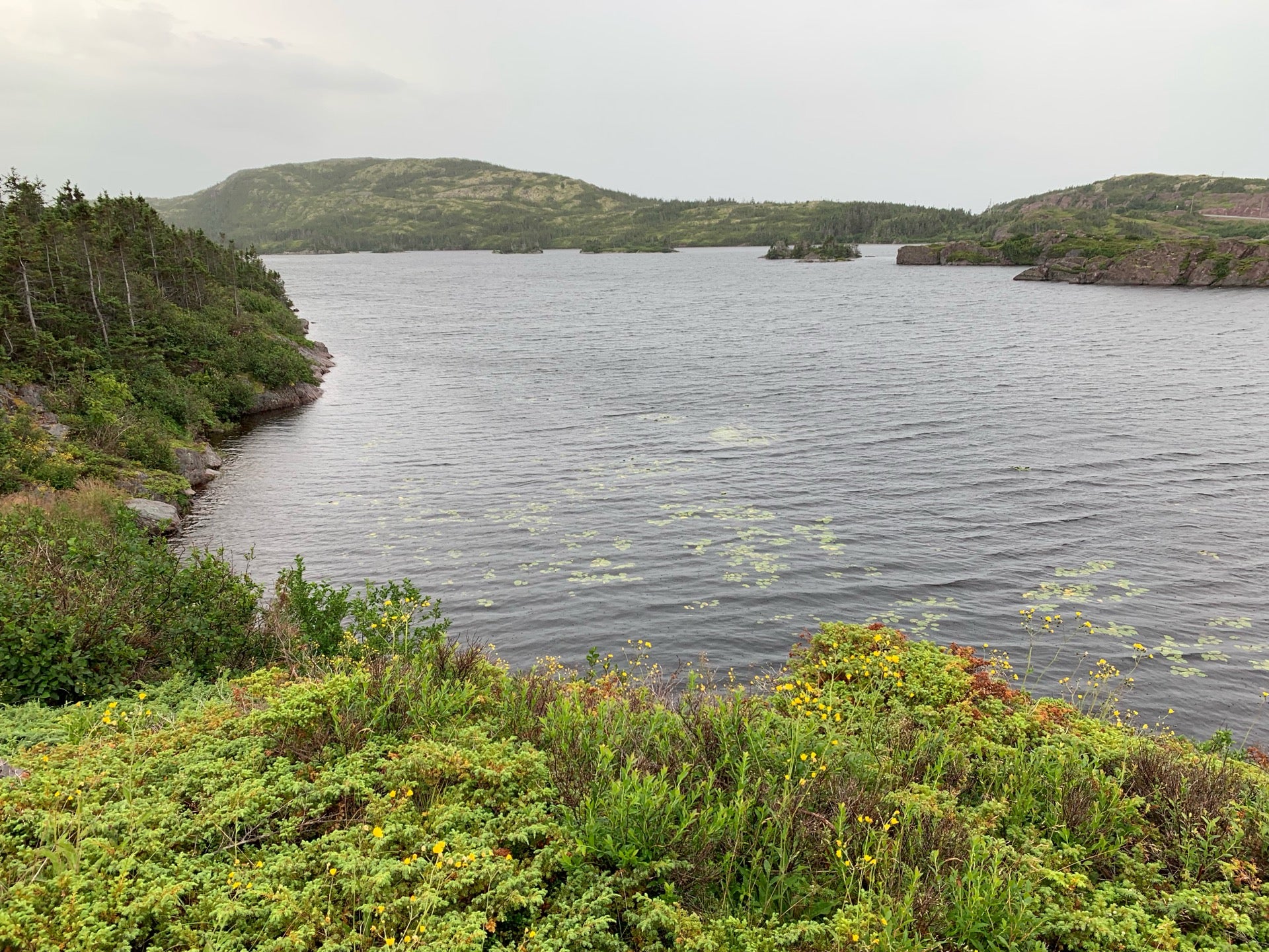 Tickle Cove Pond, Keels, NL MapQuest