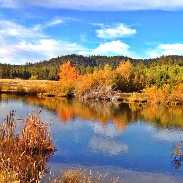 Washoe Meadows State Park, 1800 Bakersfield St, South Lake Tahoe, CA ...