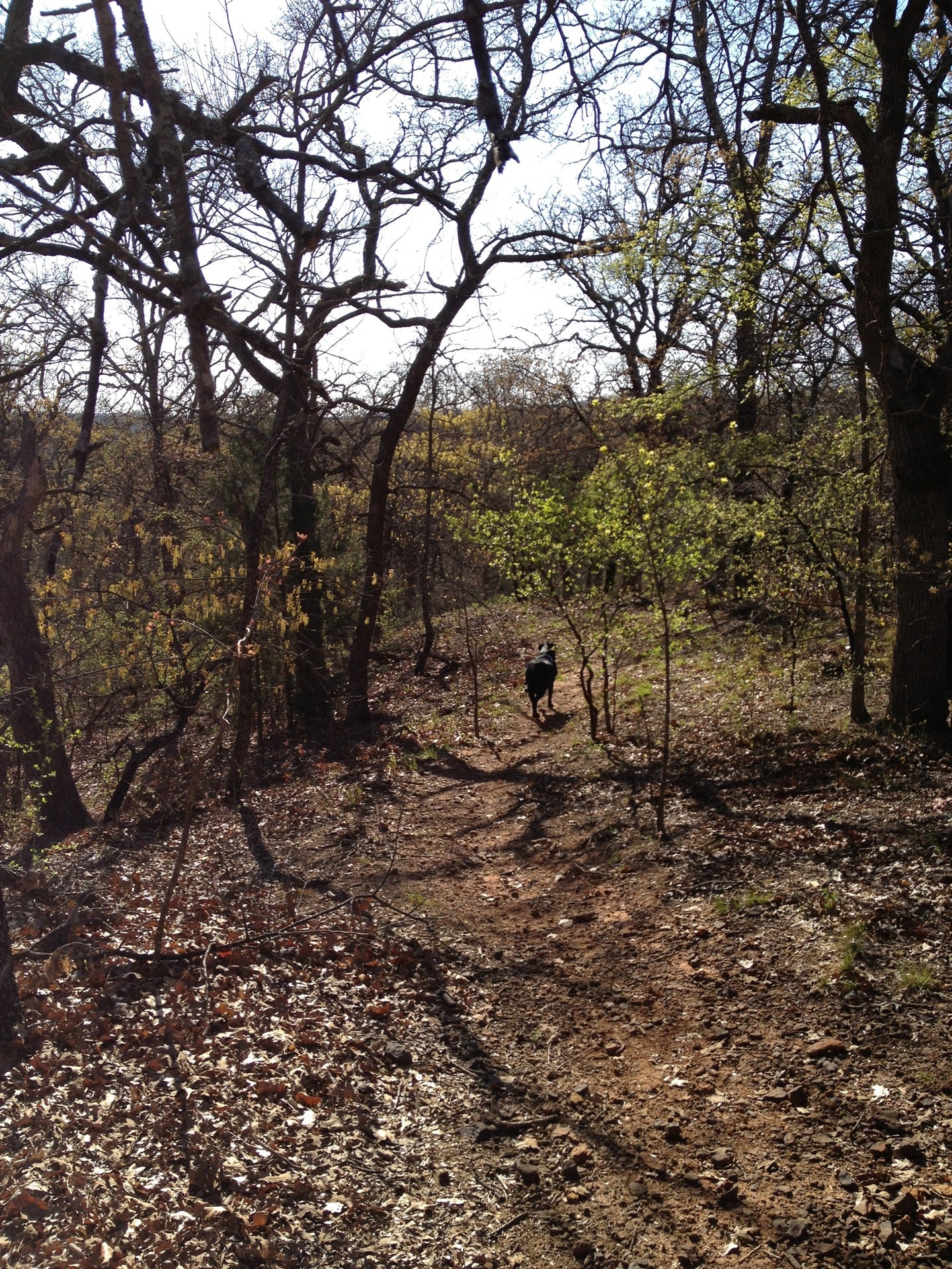 Wiggly Field Dog Park, 1400 E Ryan Rd, Denton, TX, Parks - MapQuest