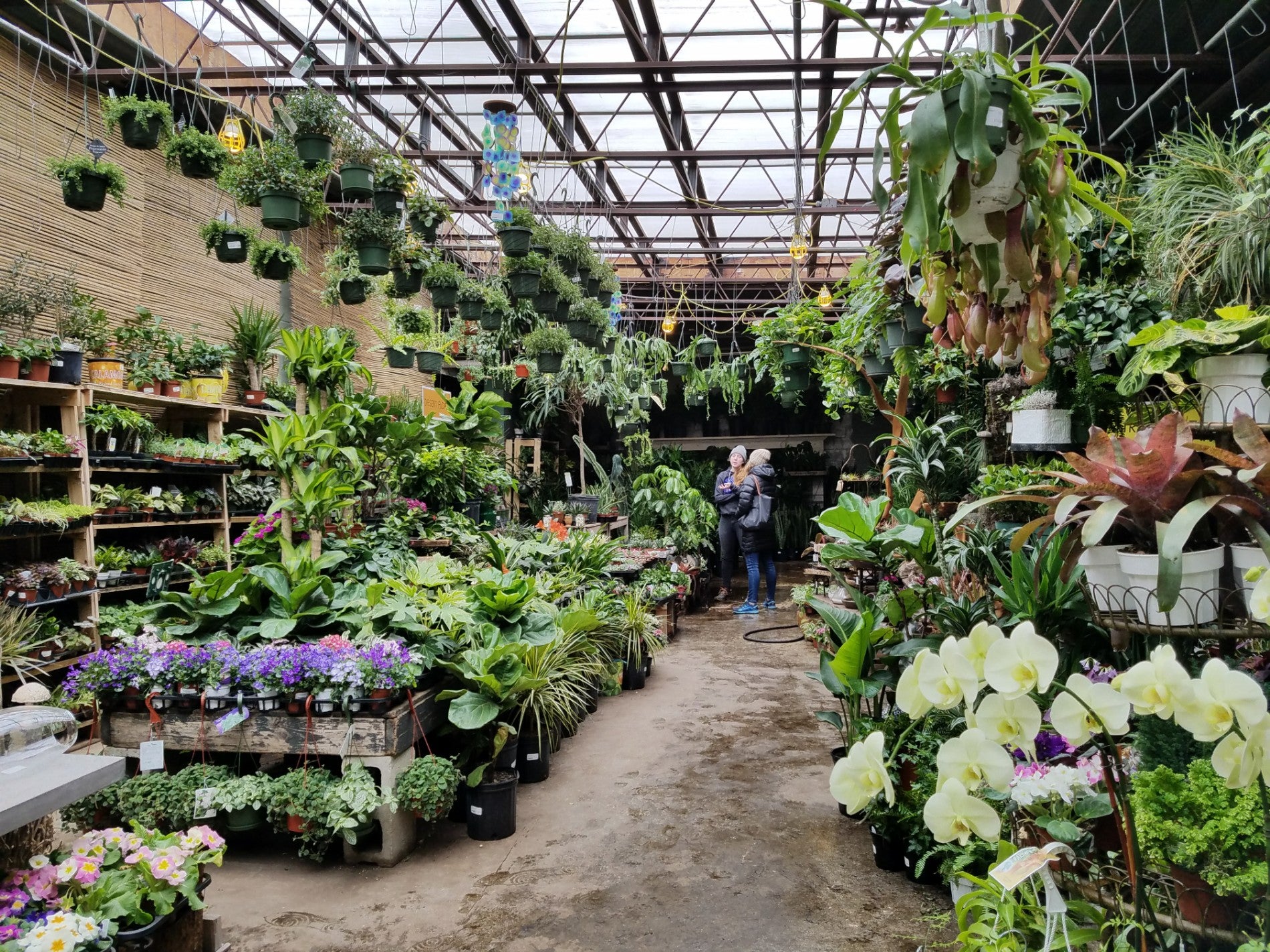 Mahoney's Full-Service Florists - Mahoney's Garden Center