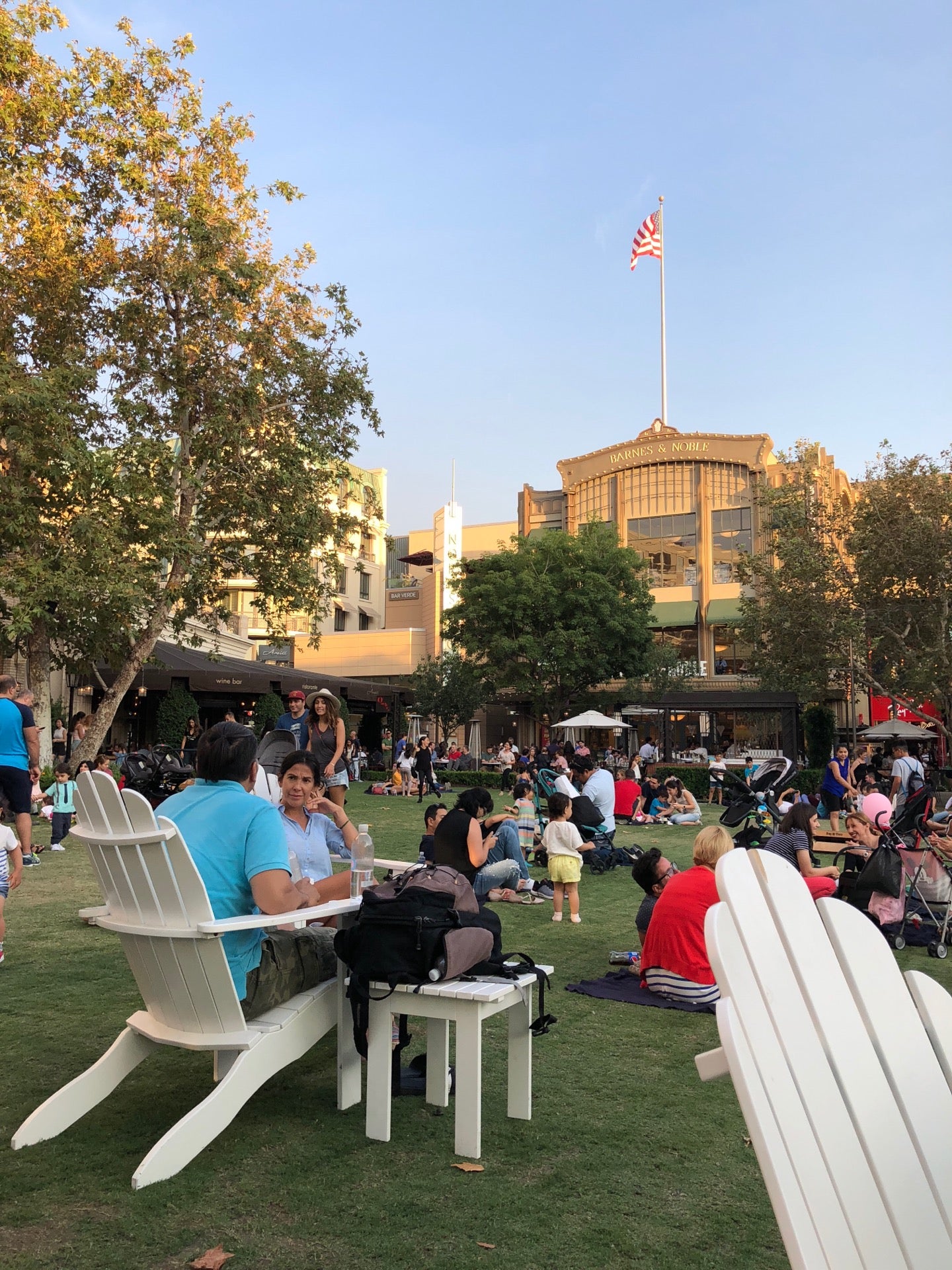 The Green CLOSED, 889 Americana Way, Glendale, CA, Carpet and