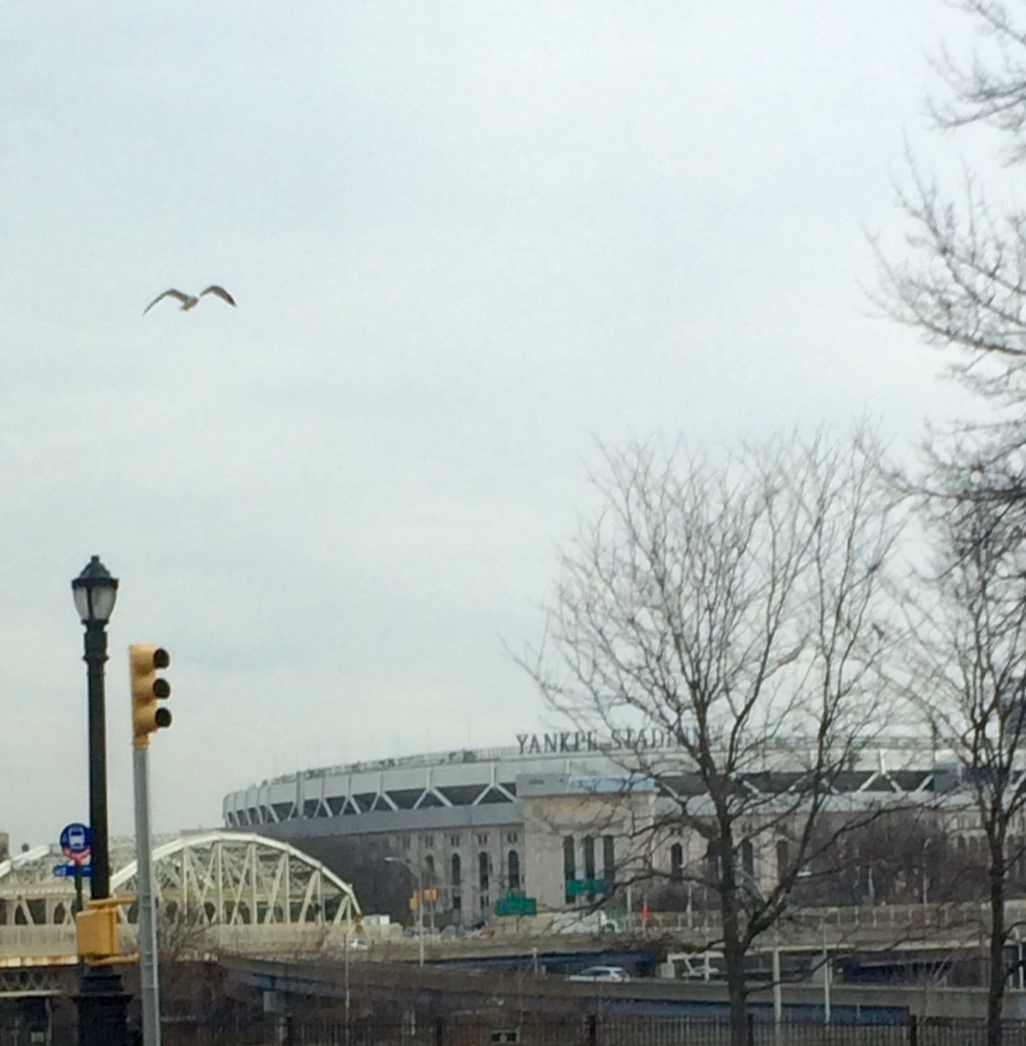 Yankee Stadium Team Store, 1 E 161st St, New York, NY, Gift Shops - MapQuest