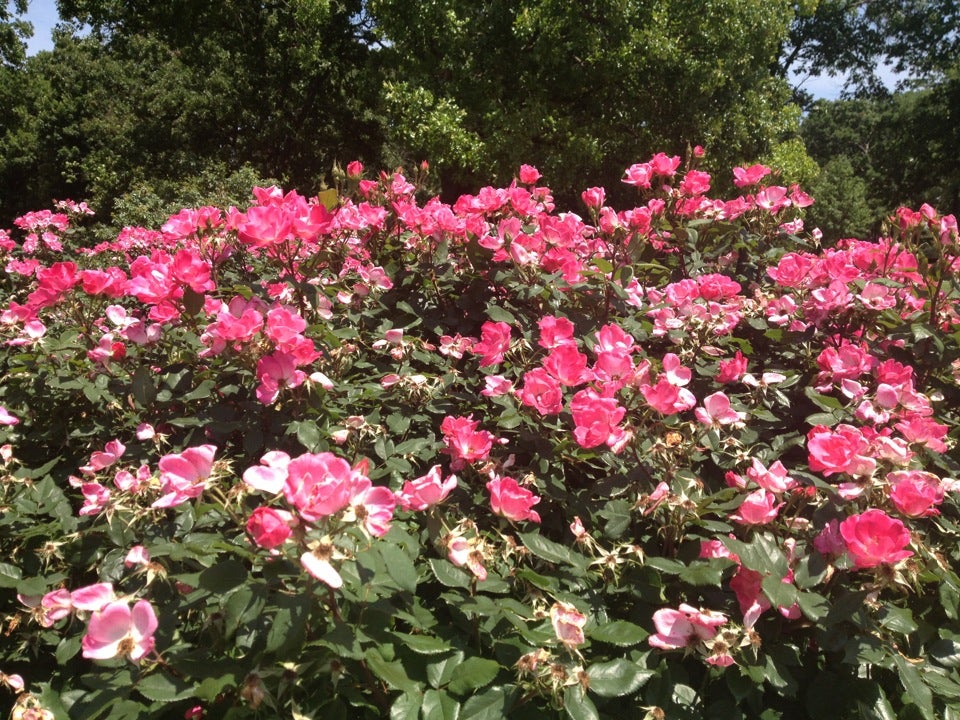 Woodward Park and Gardens, Woodward Park Dr, Tulsa, OK, Parks MapQuest