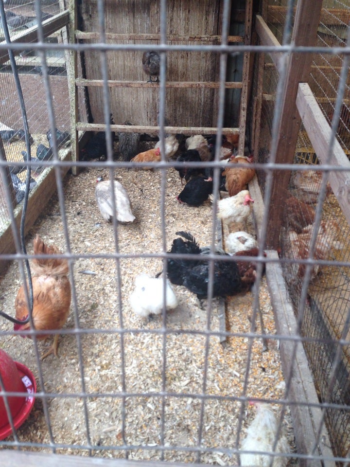 Godek's Farm, 100 S Main St, Marlboro, NJ MapQuest