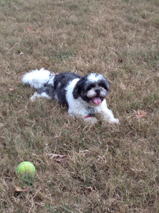 Youngsville, NC Map & Directions MapQuest