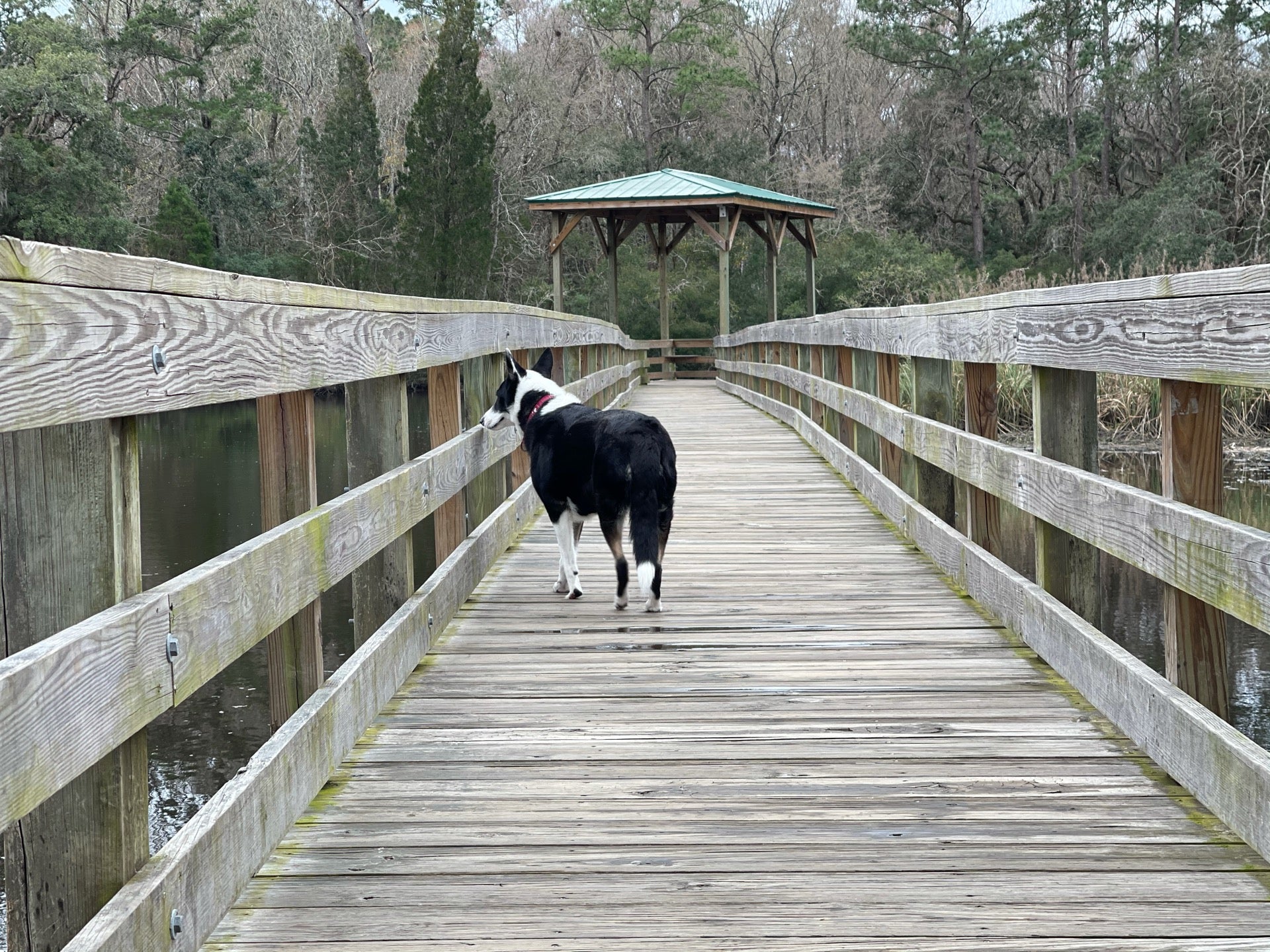 Ashley River Boat Landing, 19641978 County Rd S, Summerville, SC